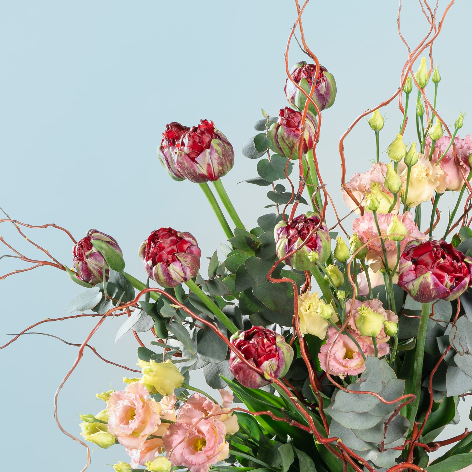 Ein lebendiger Strauß roter und rosa Blumen, darunter Protea und Rosen, arrangiert mit Grünpflanzen und Zweigen vor einem hellblauen Hintergrund.