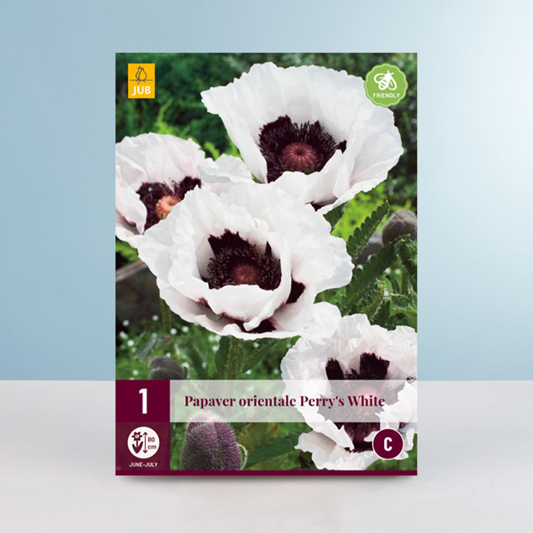 Das Bild zeigt mehrere große, weiße Blüten mit dunkelvioletter Mitte vor einem verschwommenen grünen Hintergrund, die wie eine Mohn- oder Orientalische-Mohn-Art aussehen.