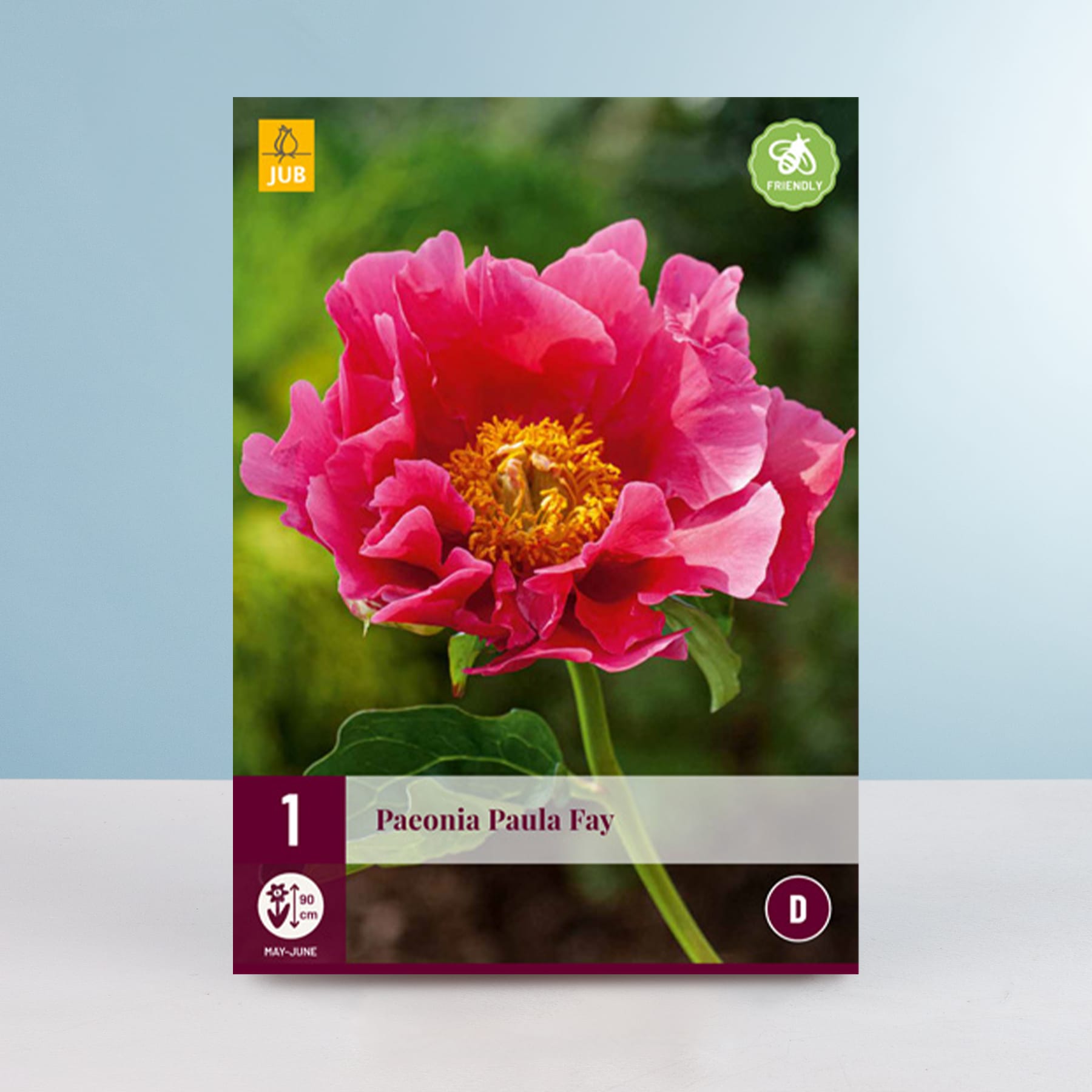 Eine leuchtend rosa Pfingstrosenblüte mit üppiger gelber Mitte hebt sich deutlich von einem verschwommenen grünen Hintergrund ab.