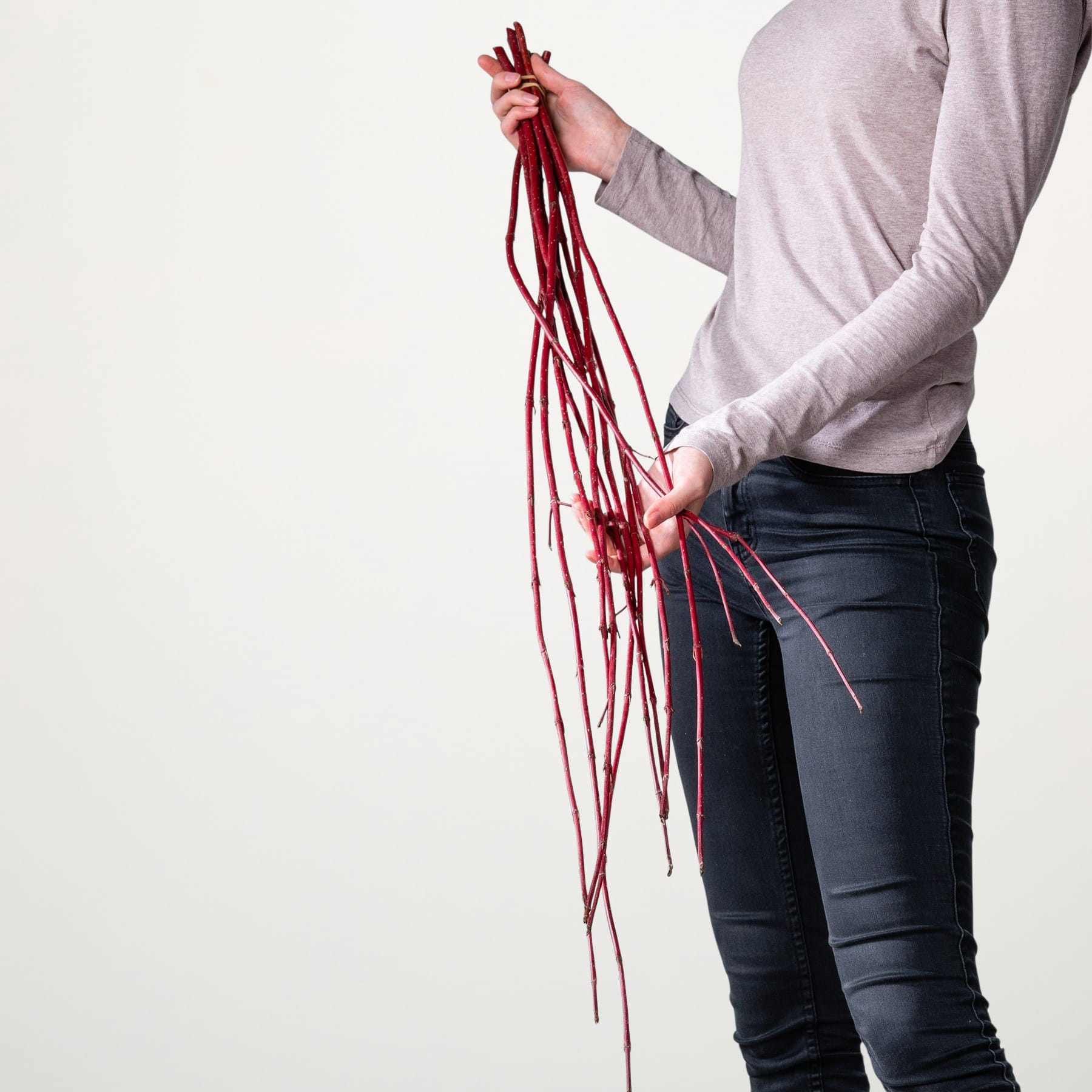 Die Hände einer Person halten ein Bündel langer, leuchtend roter Schnüre oder Kordeln vor einem schlichten weißen Hintergrund.