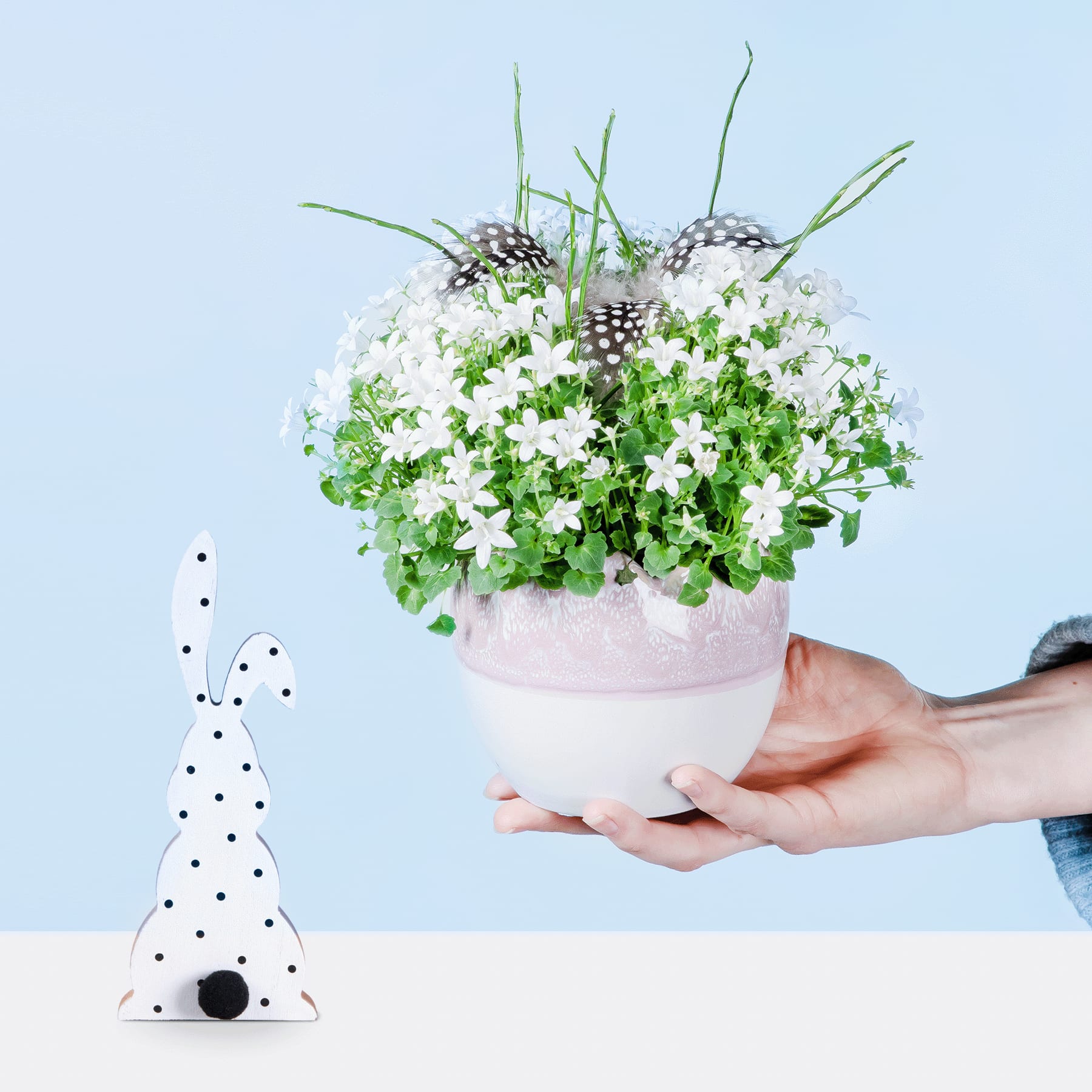 Eine Hand hält ein Topfarrangement aus weißen Blumen und Grünpflanzen, im Hintergrund ist ein gepunkteter Partyhut zu sehen.