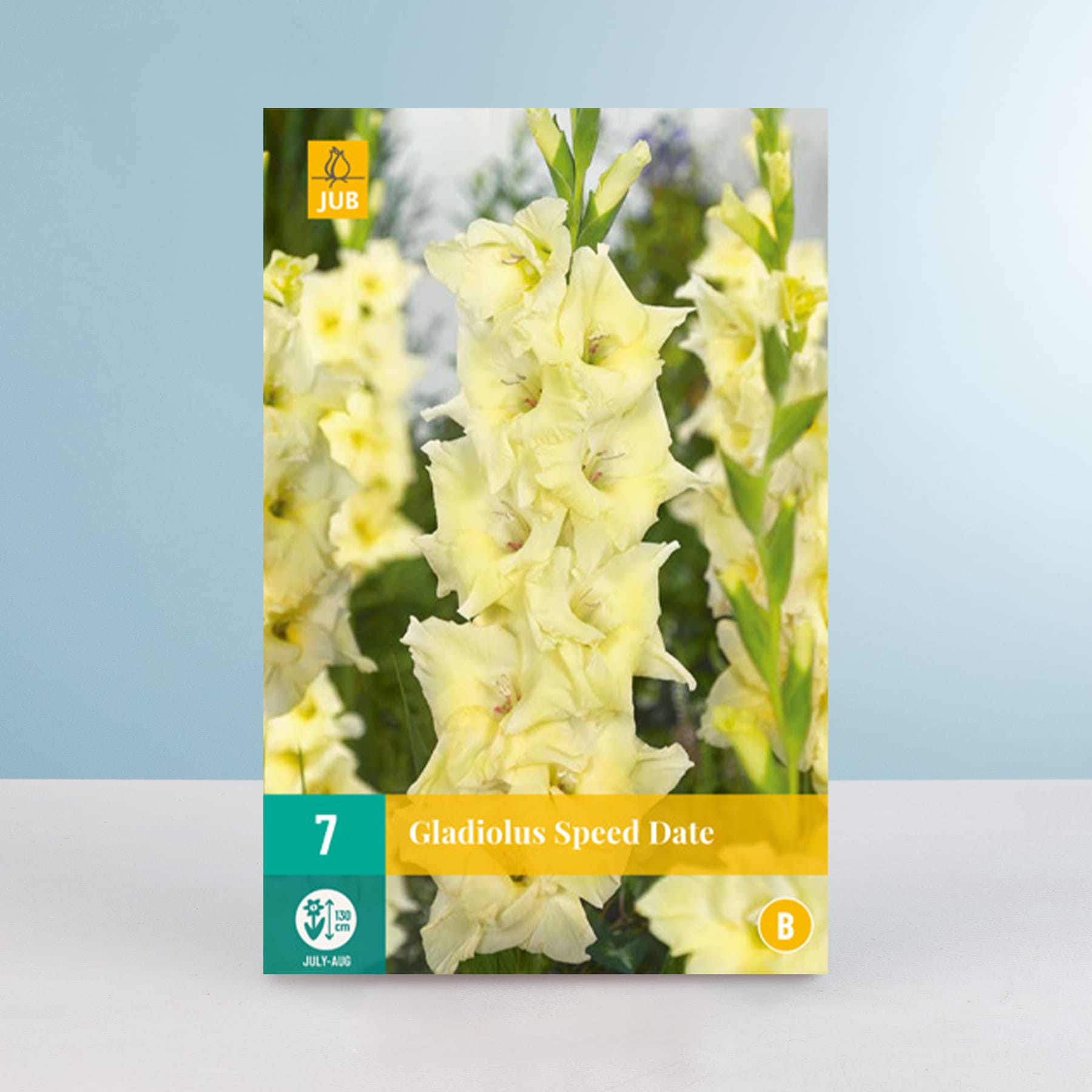 Das Bild zeigt eine Nahaufnahme mehrerer leuchtend gelber Gladiolenblüten vor einem unscharfen grün-blauen Hintergrund.