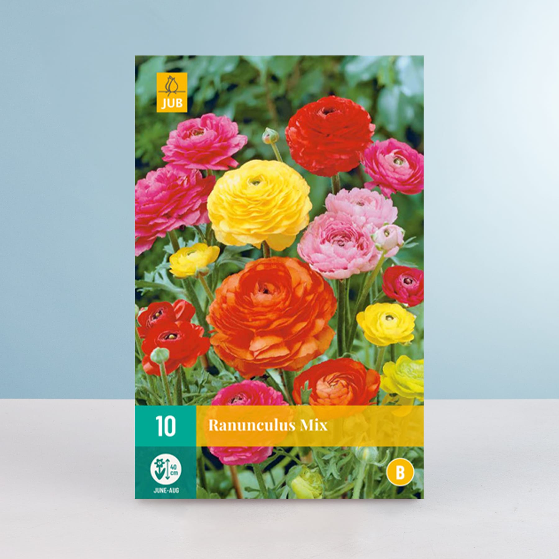 Eine lebendige Palette farbenfroher Ranunkelnblüten in Rosa-, Gelb- und Orangetönen vor einem üppigen, grünen Hintergrund.