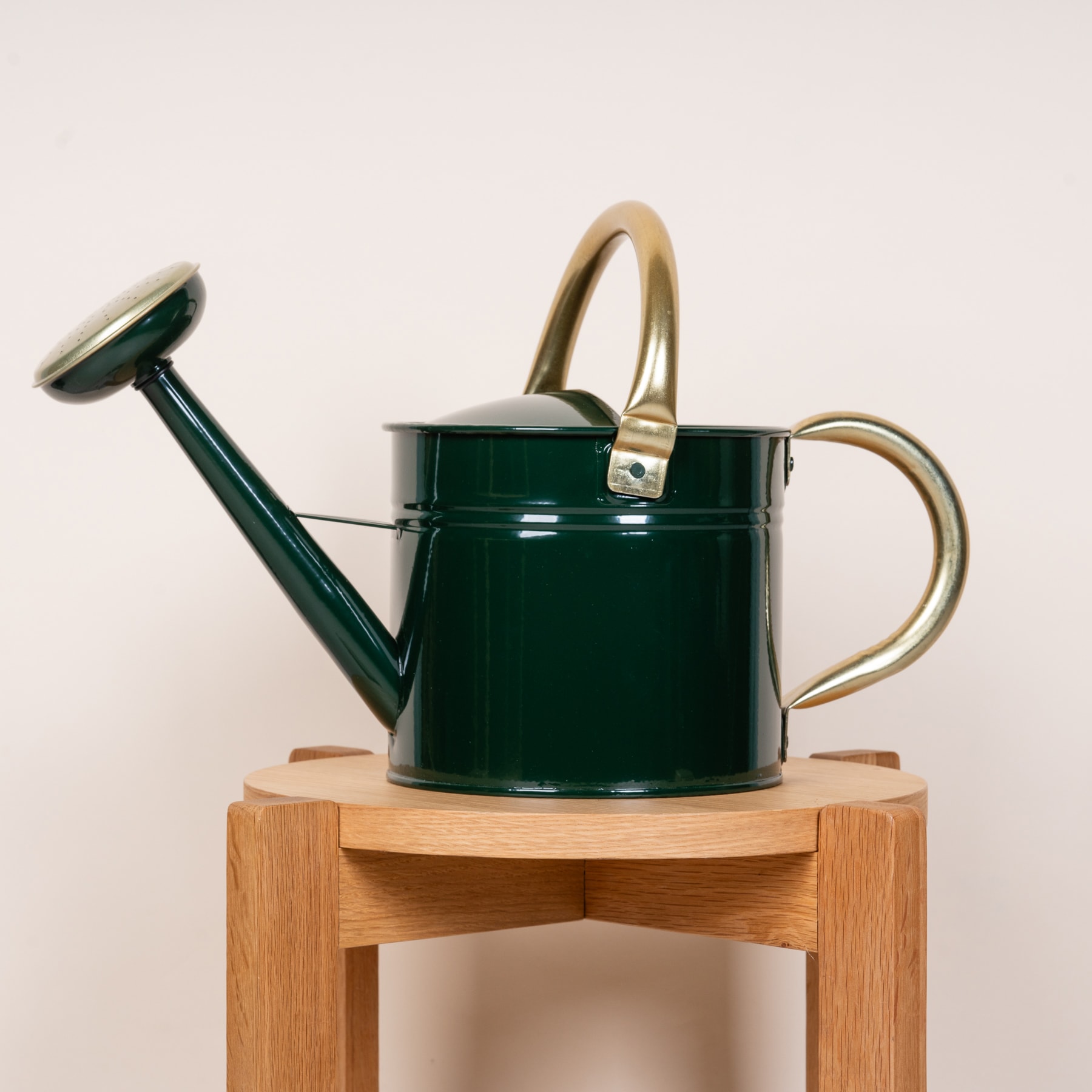 Eine grüne Gießkanne aus Metall steht auf einem Holzständer vor einem schlichten beigen Hintergrund.