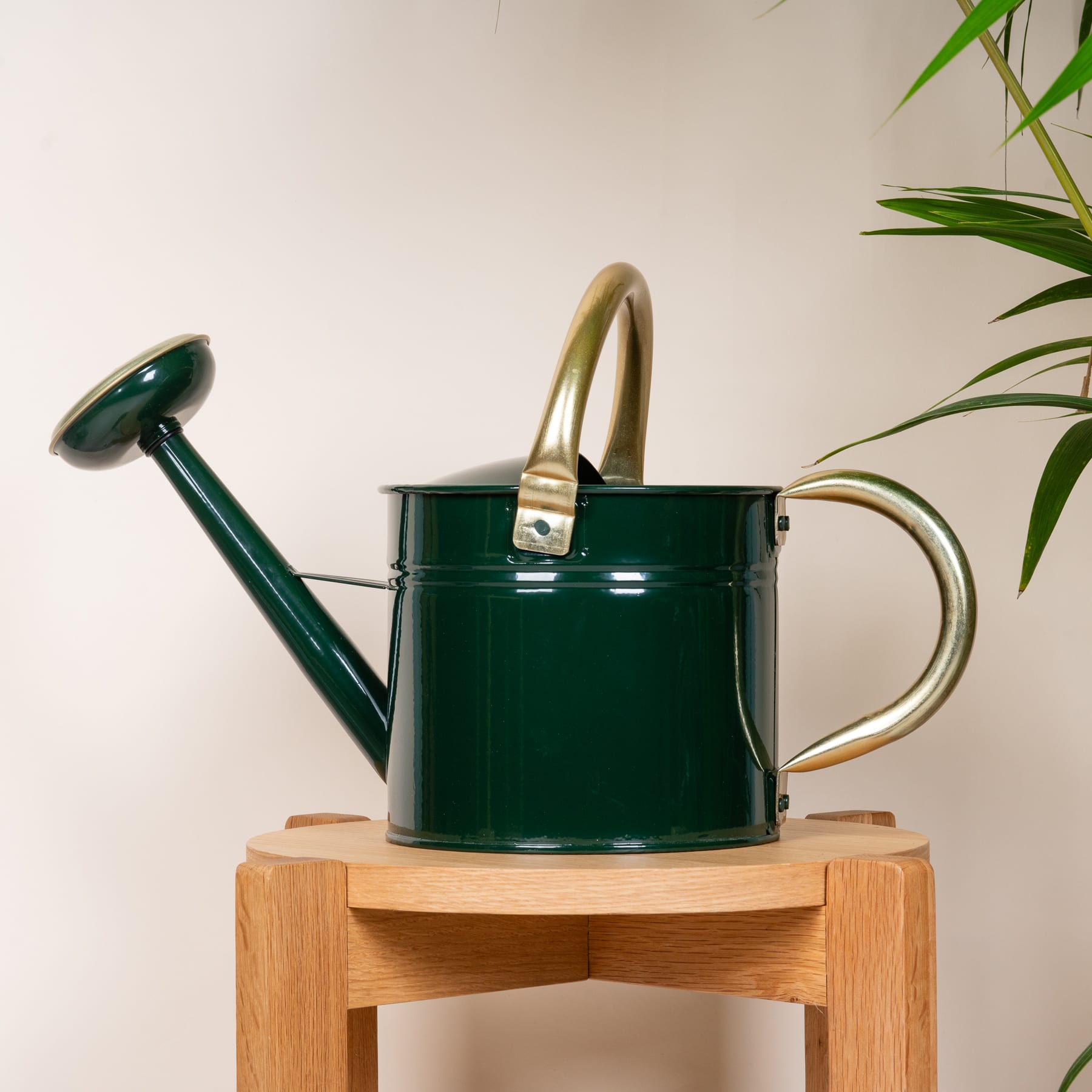 Eine grüne Gießkanne aus Metall steht auf einem Holzständer, im Hintergrund ist eine Topfpflanze zu sehen.
