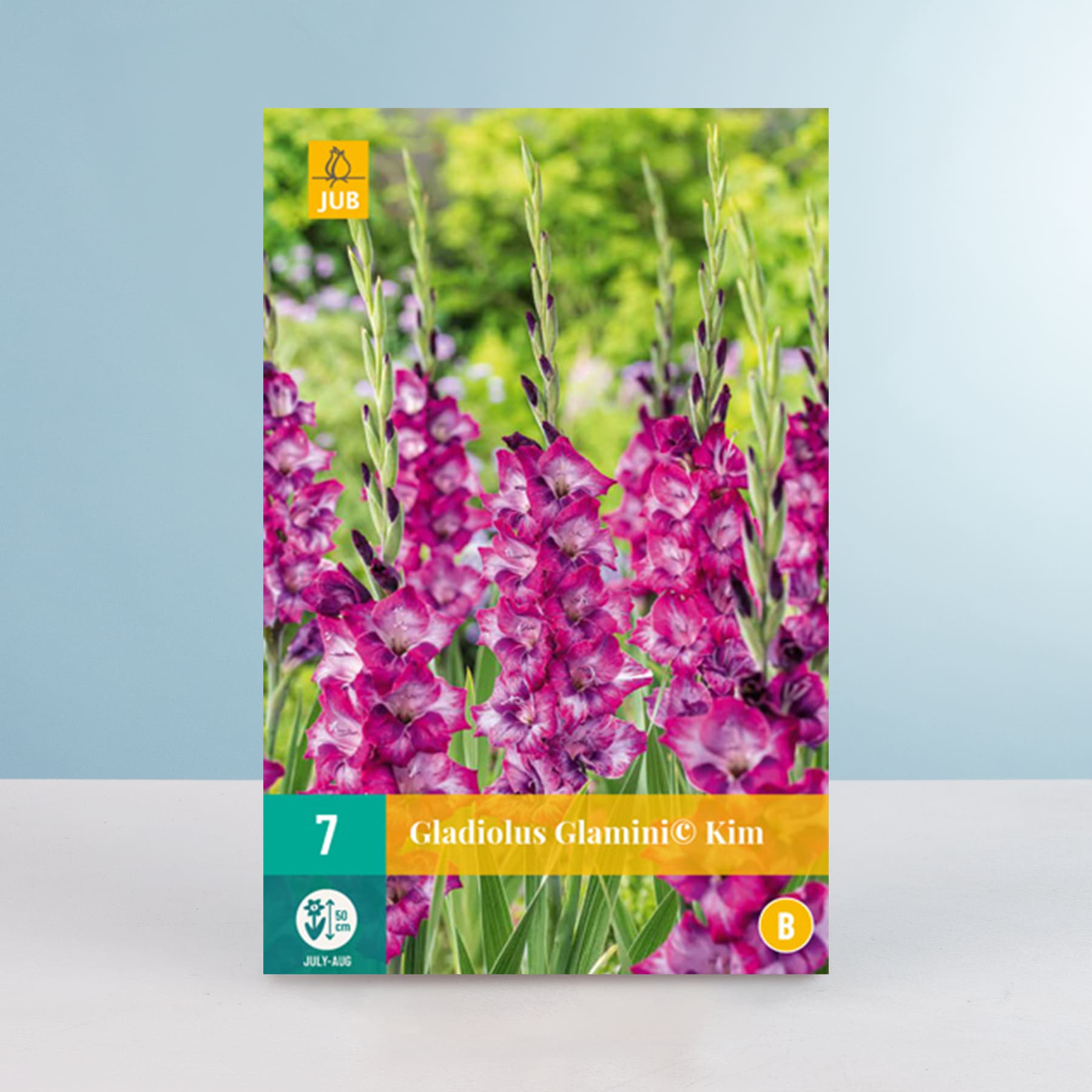 Das Bild zeigt eine Nahaufnahme von leuchtend rosa Gladiolenblüten vor einem verschwommenen grünen Laubhintergrund.
