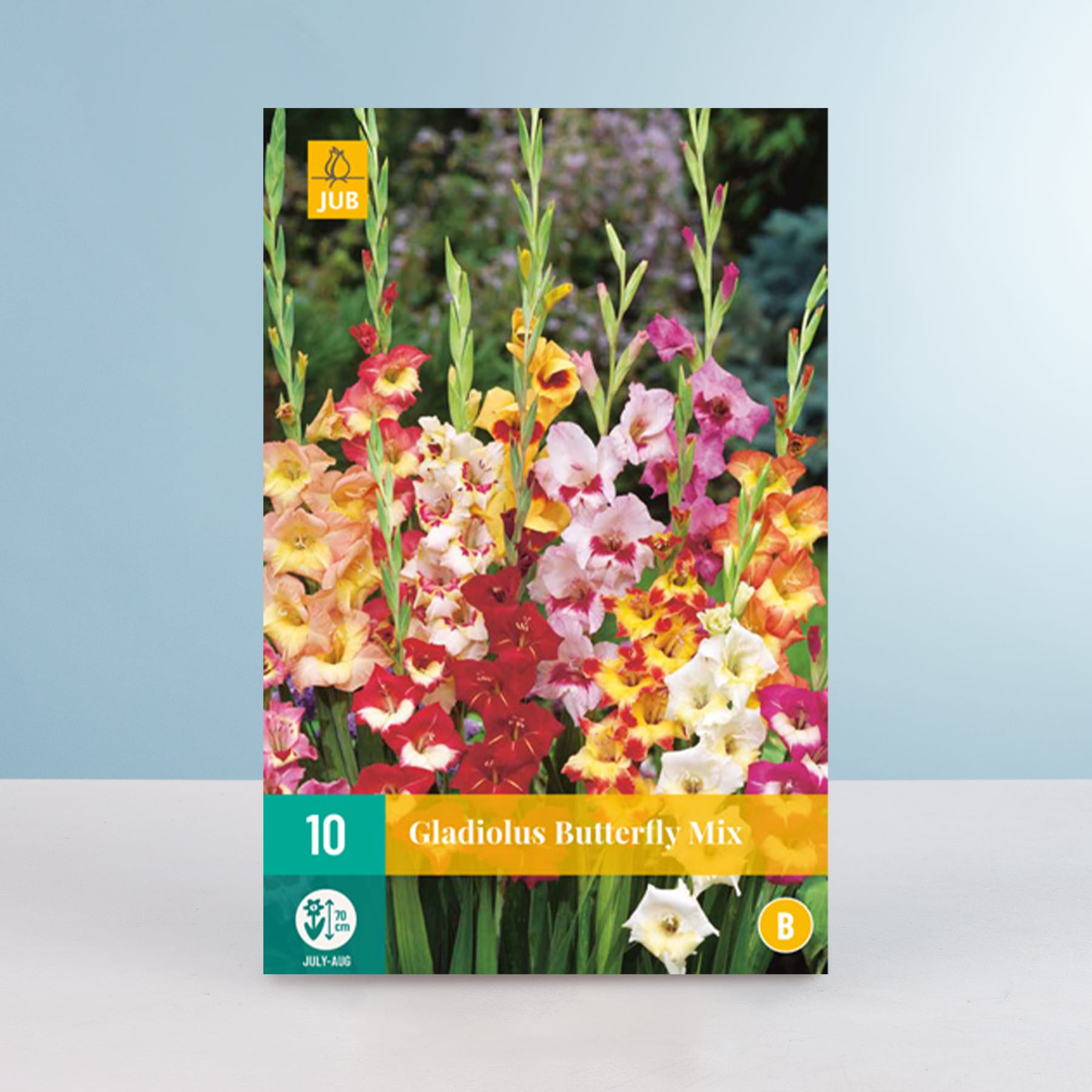Das Bild zeigt eine bunte Palette von Gladiolenblüten in verschiedenen Rot-, Gelb- und Rosatönen. Ein grünes Etikett weist auf die Sorte „Gladiolus Butterfly Mix“ hin. Die Blüten stehen vor einem schlichten blauen Hintergrund und bilden so ein lebendiges und auffälliges Arrangement.