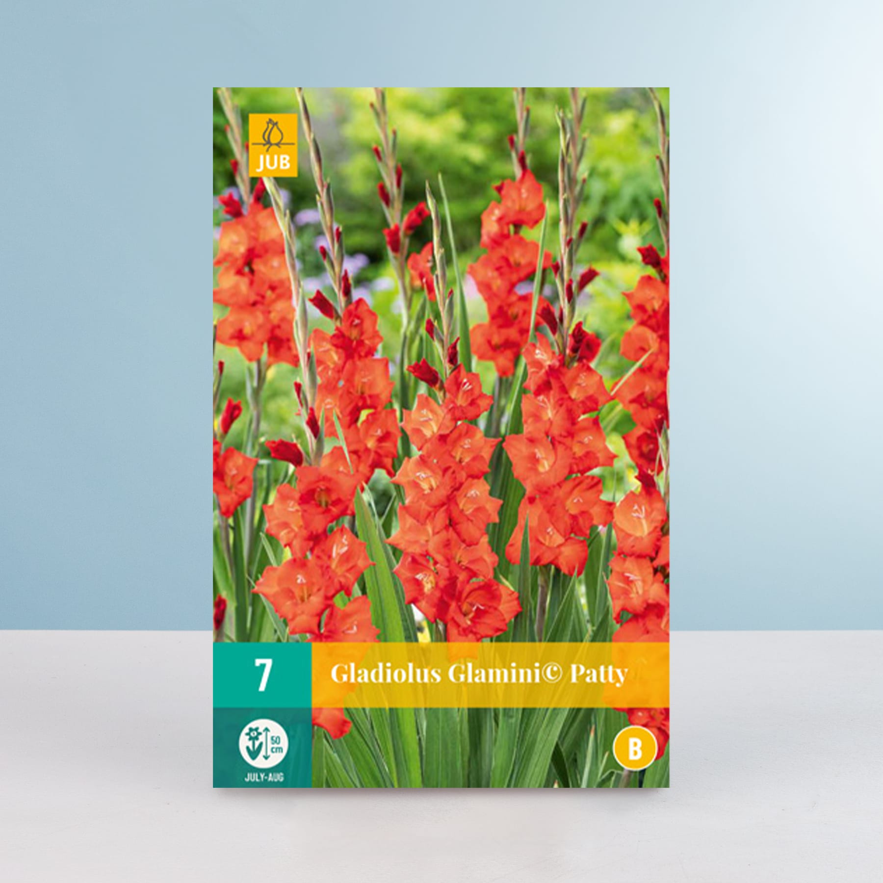 Leuchtend rote Gladiolenblüten ragen hoch auf vor einem verschwommenen grünen Laubhintergrund, und auf dem Etikett ist die Sorte als „Gladiolus Glamini® Patty“ angegeben.