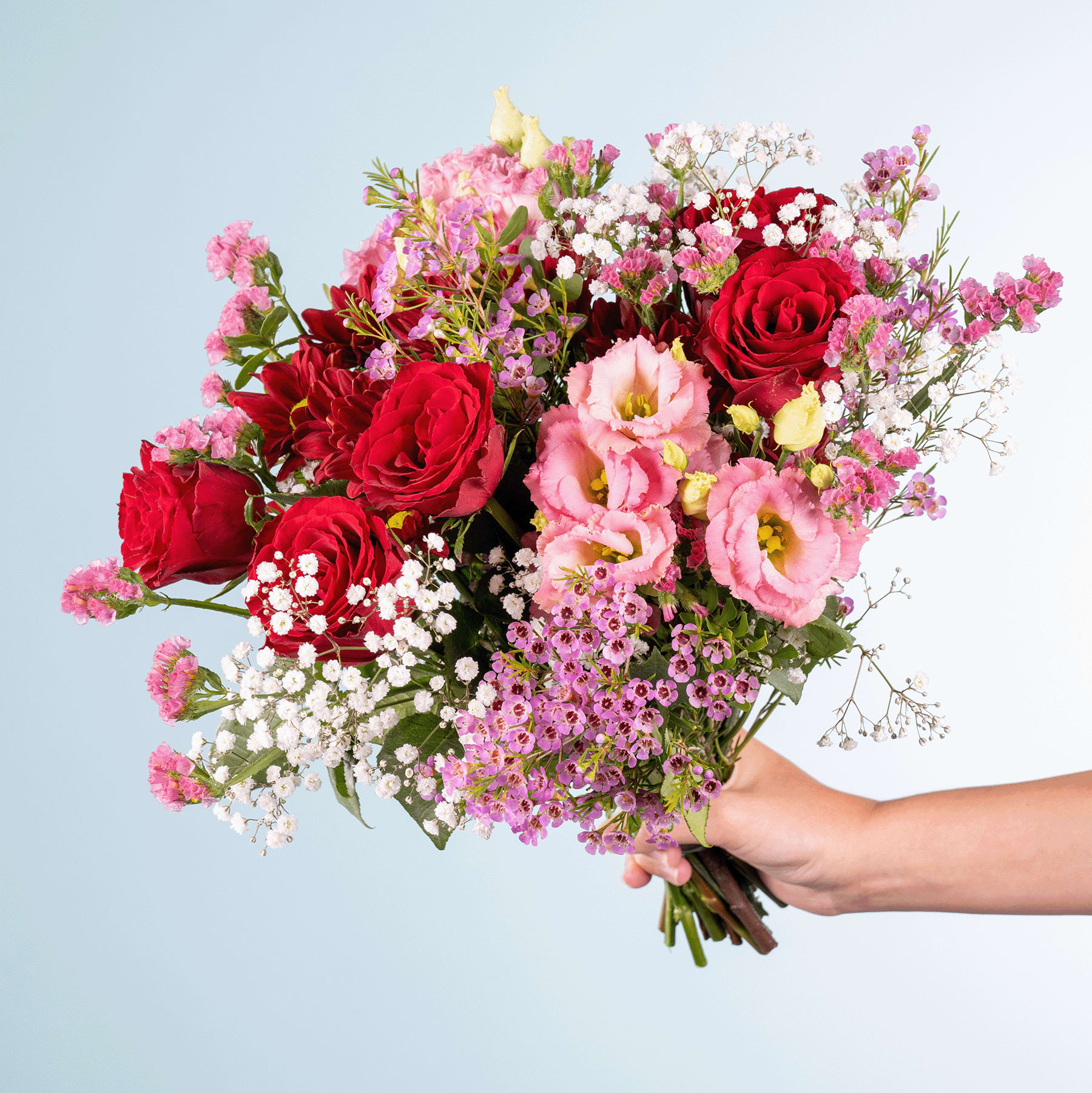 Ein leuchtender Strauß roter Rosen, rosa Nelken und zarter Schleierkrautblüten, den eine Person vor einem schlichten blauen Hintergrund in der Hand hält.