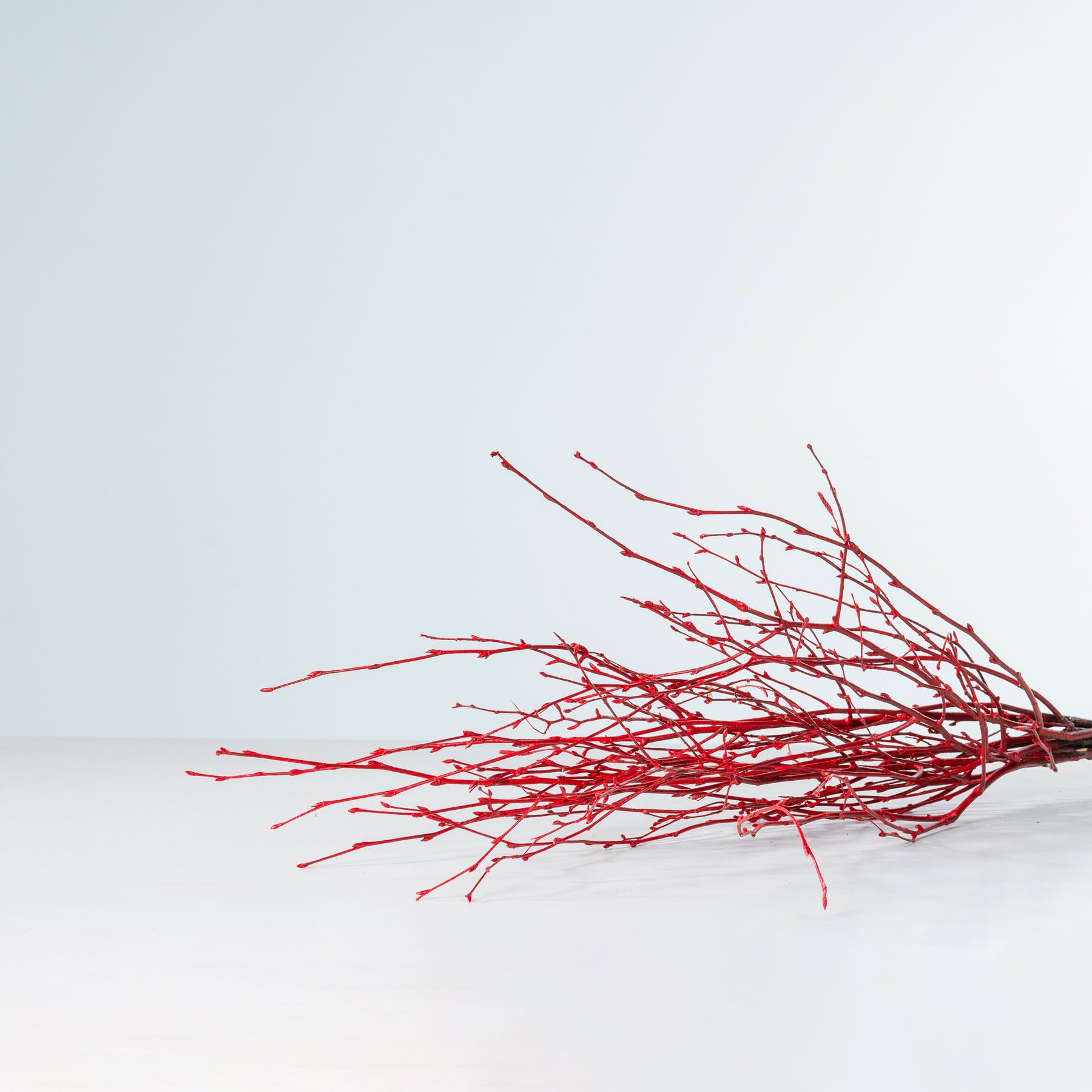 Ein Bündel leuchtend roter Zweige oder Äste liegt auf einer schlichten, hellen Oberfläche vor einem blassen, minimalistischen Hintergrund.