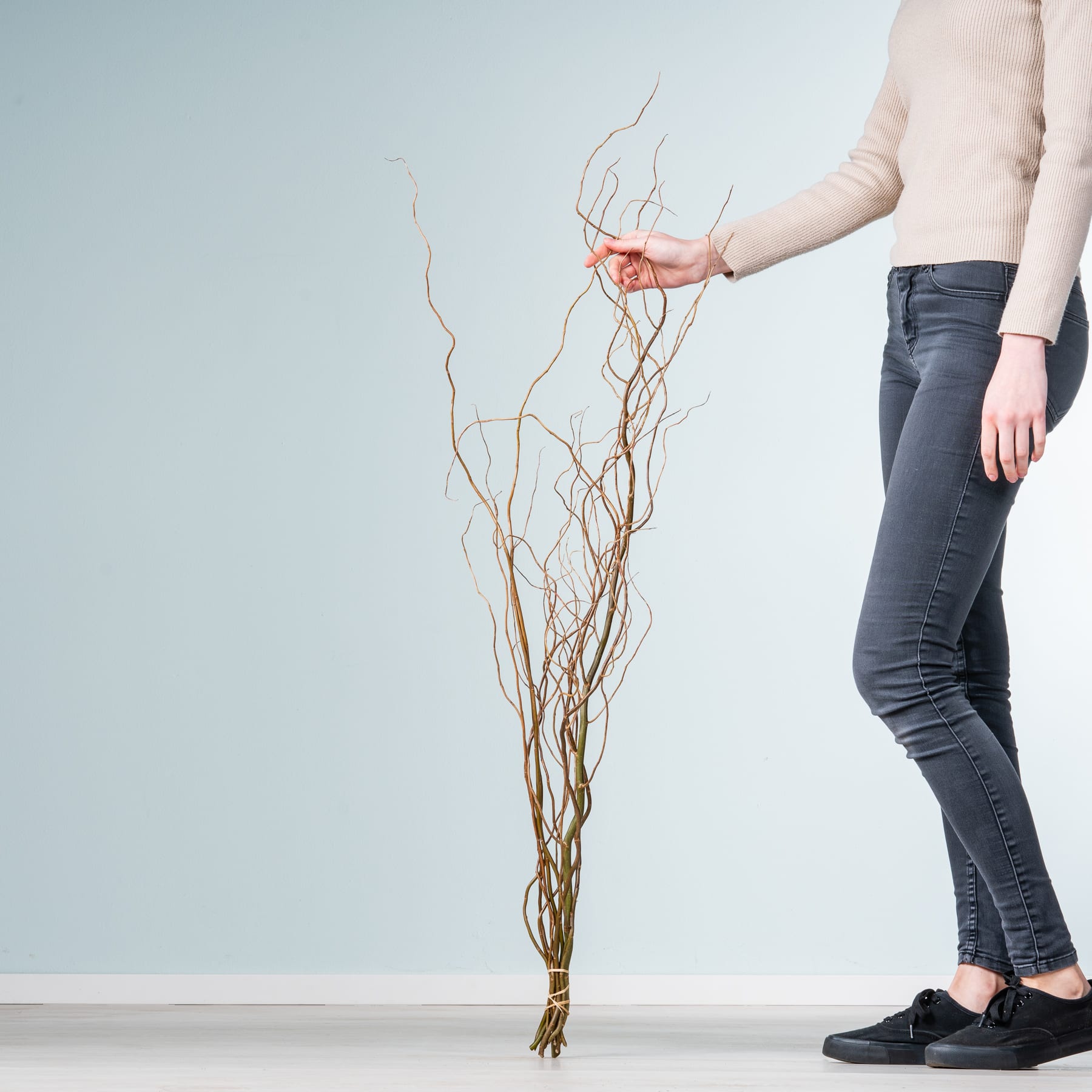 Die Hand einer Person hält ein Bündel getrockneter Zweige oder Äste vor einem schlichten, hellen Hintergrund.