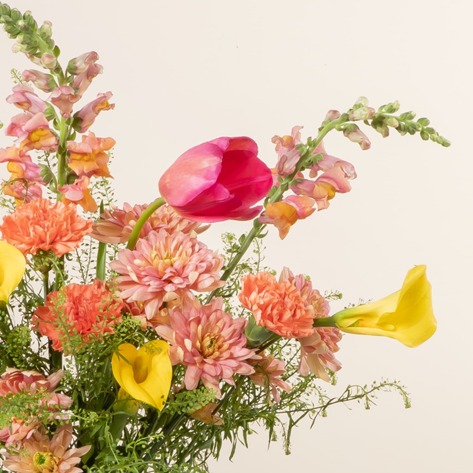 Ein lebendiger Strauß bunter Blumen, darunter rosa Dahlien, gelbe Tulpen und grünes Laub, vor einem neutralen Hintergrund.