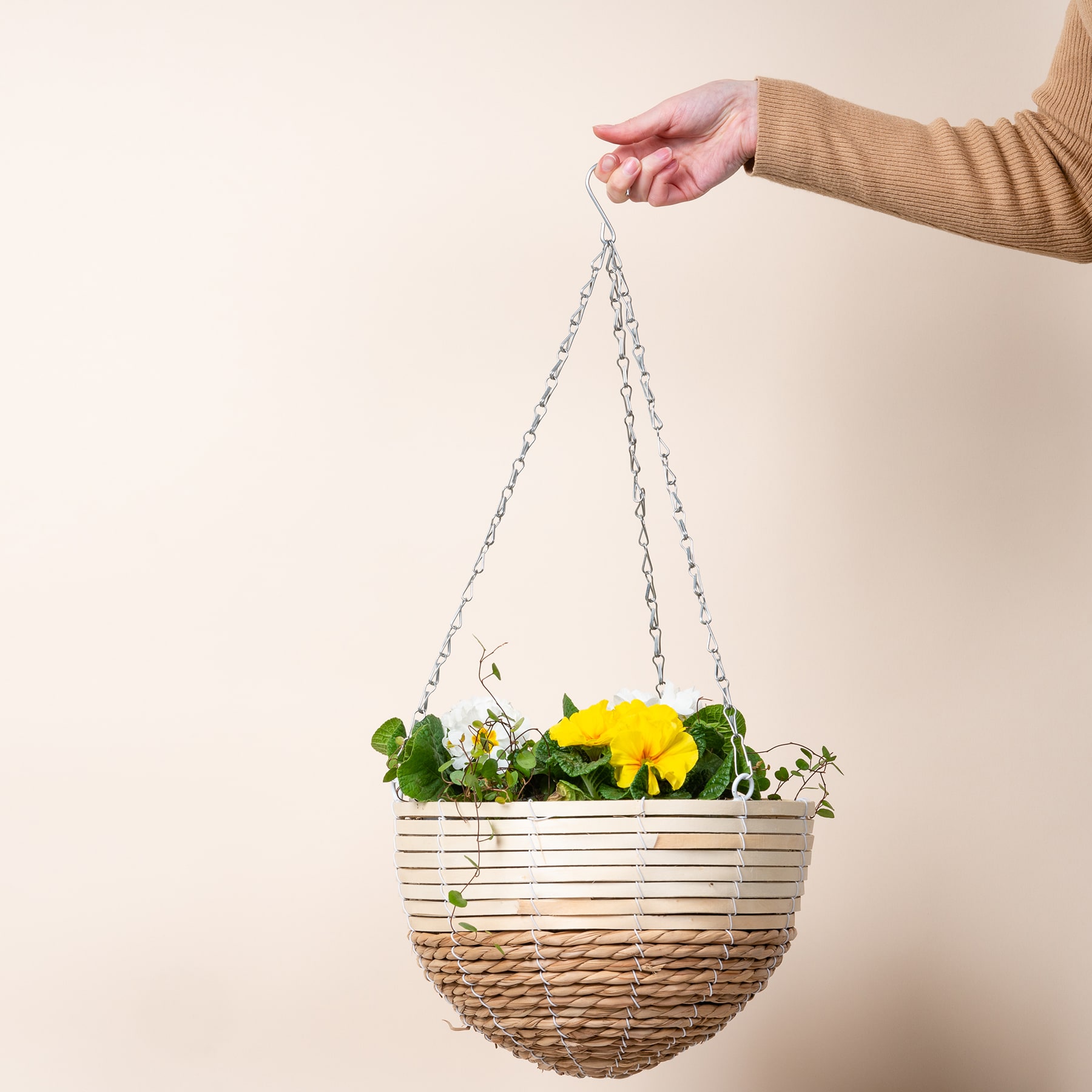 Ein Hängekorb voller leuchtend gelber Blumen und üppigem Grün, der von einer Person in der Hand vor einem schlichten, hellen Hintergrund aufgehängt wird.