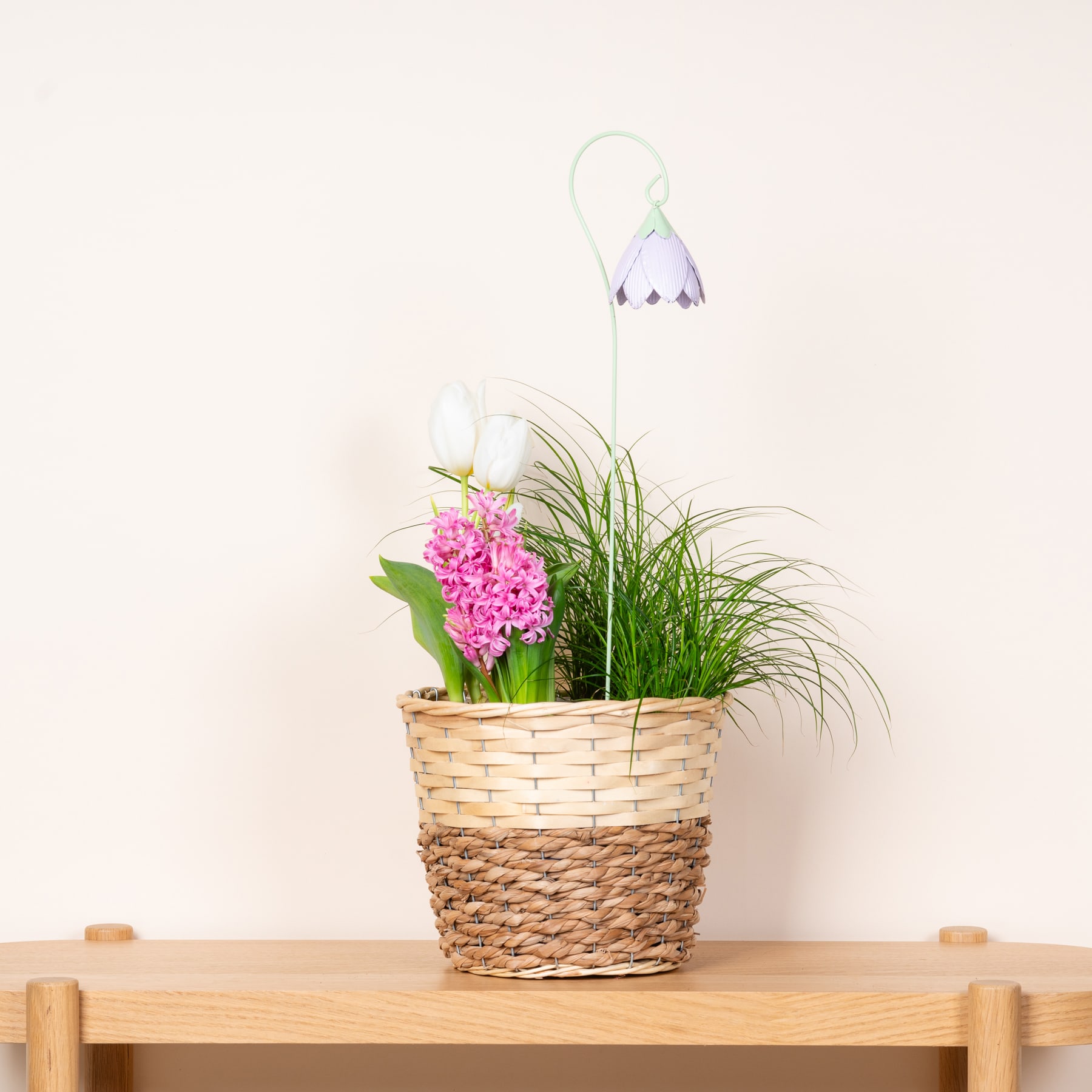 Ein geflochtener Korb mit einer rosa Hyazinthenblüte, grünem Gras und einer weißen glockenförmigen Blume steht auf einem Holztisch vor einem schlichten weißen Hintergrund.