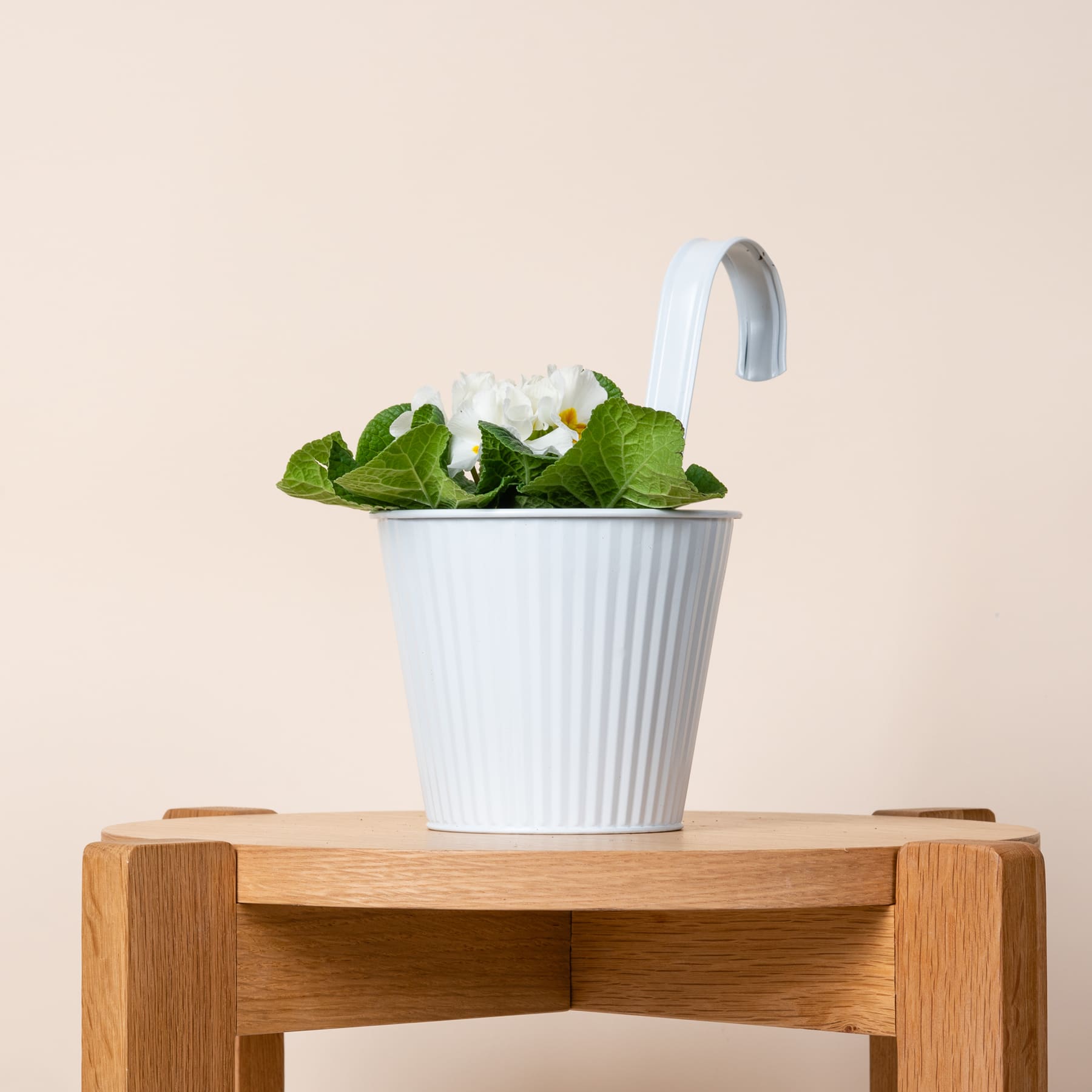 Ein weißer Keramiktopf mit frischen grünen Blättern und weißen Blüten steht auf einem Holzständer vor einem hellen Hintergrund.