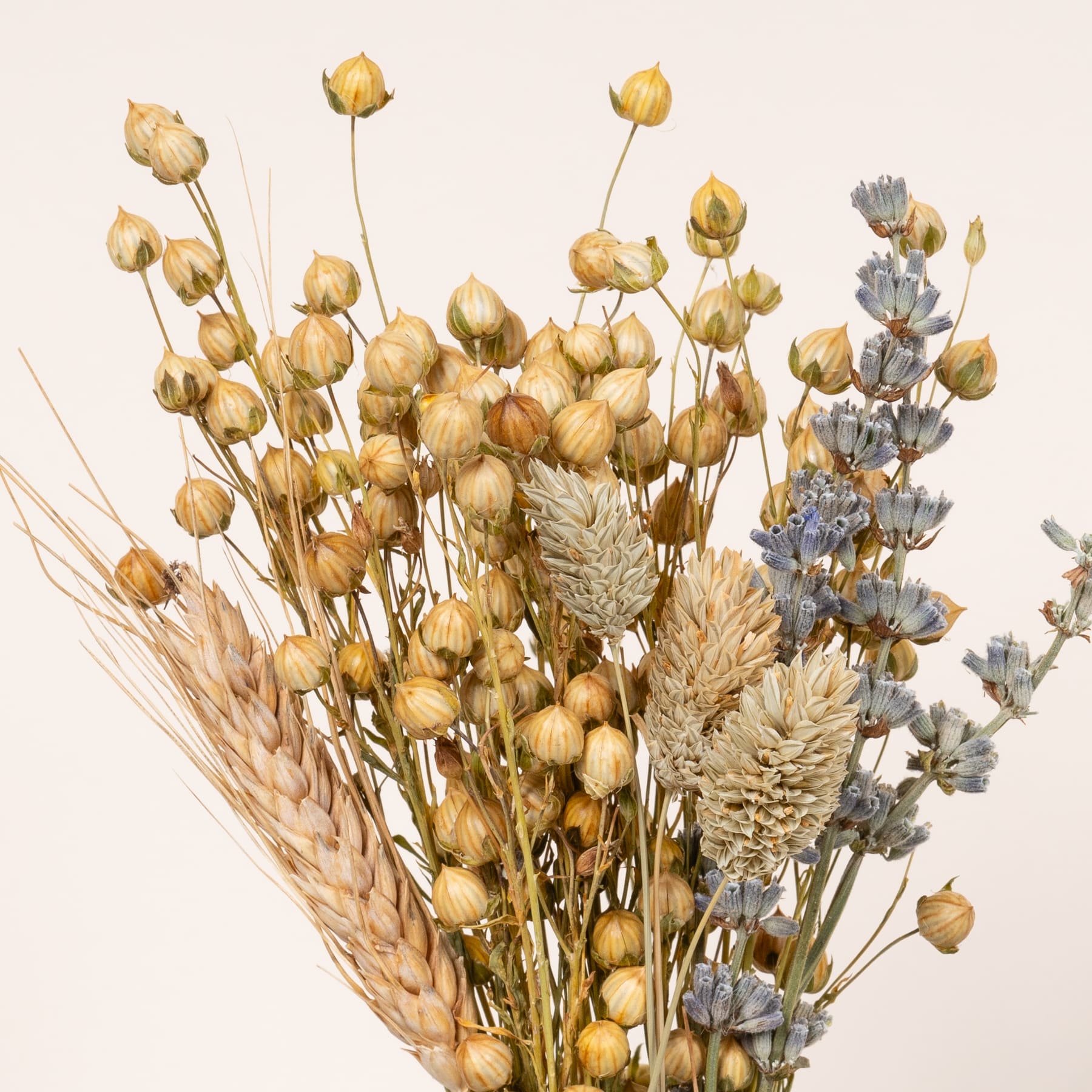 Ein Strauß getrockneter Blumen und Weizenhalme in verschiedenen Gelb-, Beige- und Grautönen, der vor einem schlichten Hintergrund eine warme und natürliche Komposition ergibt.