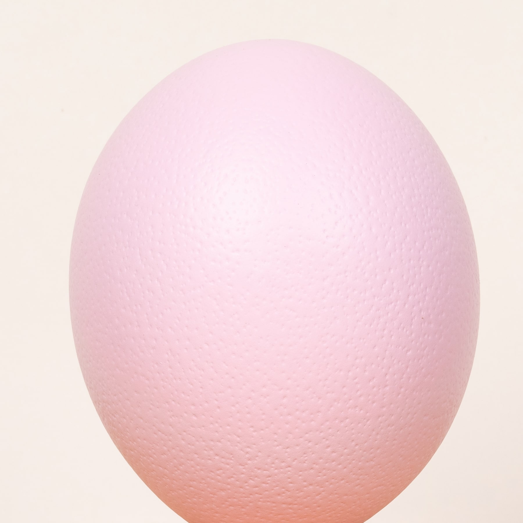 Ein großes, glattes und gleichmäßig gefärbtes rosa eiförmiges Objekt vor einem hellbeigen Hintergrund.