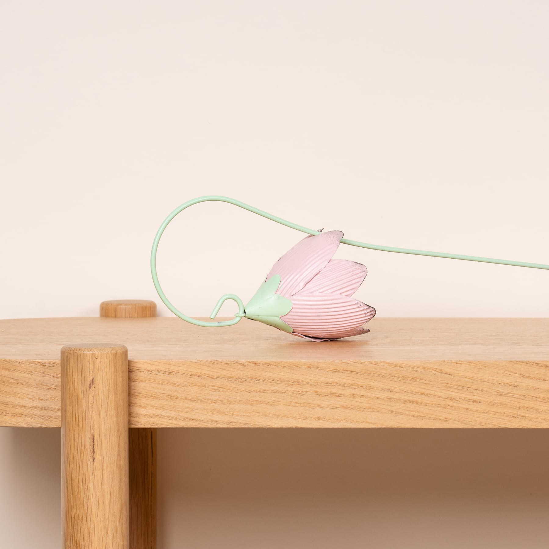 Eine zartrosa Blume liegt auf einem Holztisch vor einem schlichten, hellen Hintergrund.