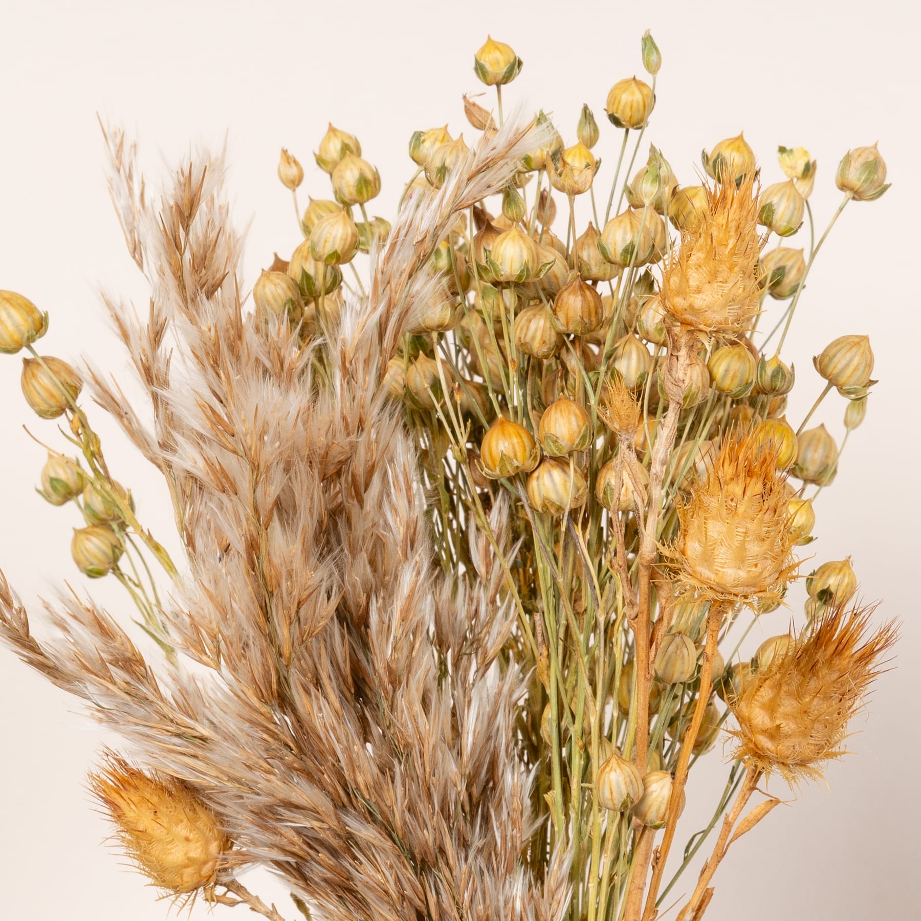 Ein lebendiger Strauß getrockneter Blumen und Weizenhalme mit einer Mischung aus warmen Gelb- und Orangetönen, der vor einem schlichten Hintergrund eine rustikale und herbstliche Komposition schafft.