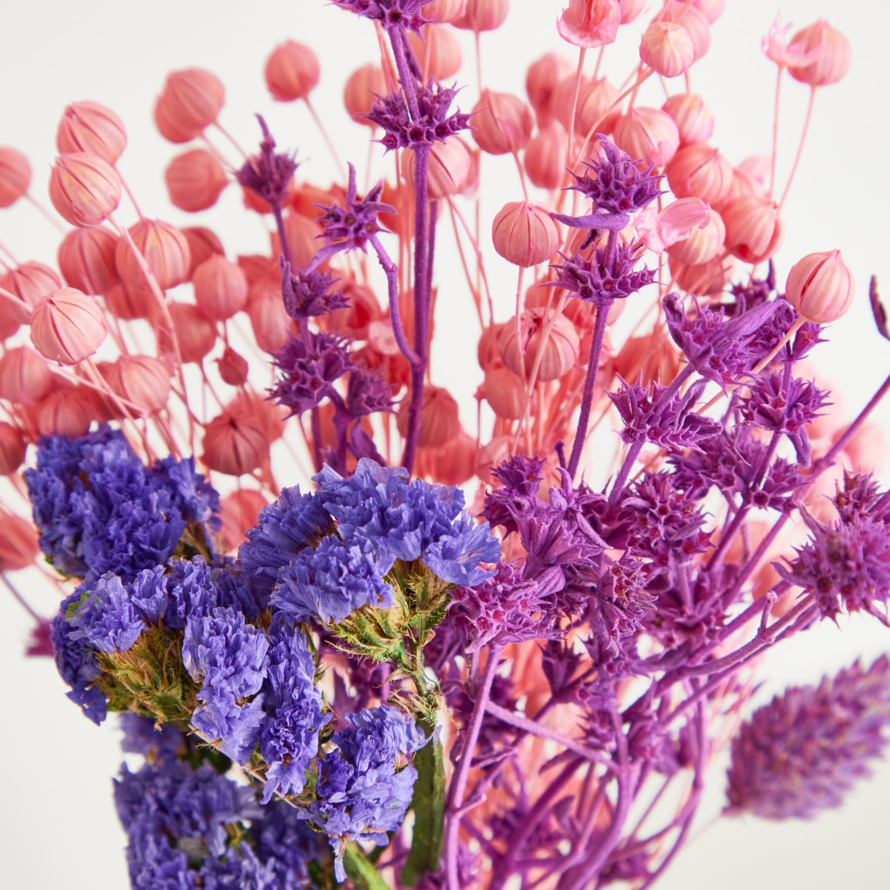 Ein lebendiger Strauß rosa Tulpen und lila Kornblumen vor einem weichen, unscharfen Hintergrund.