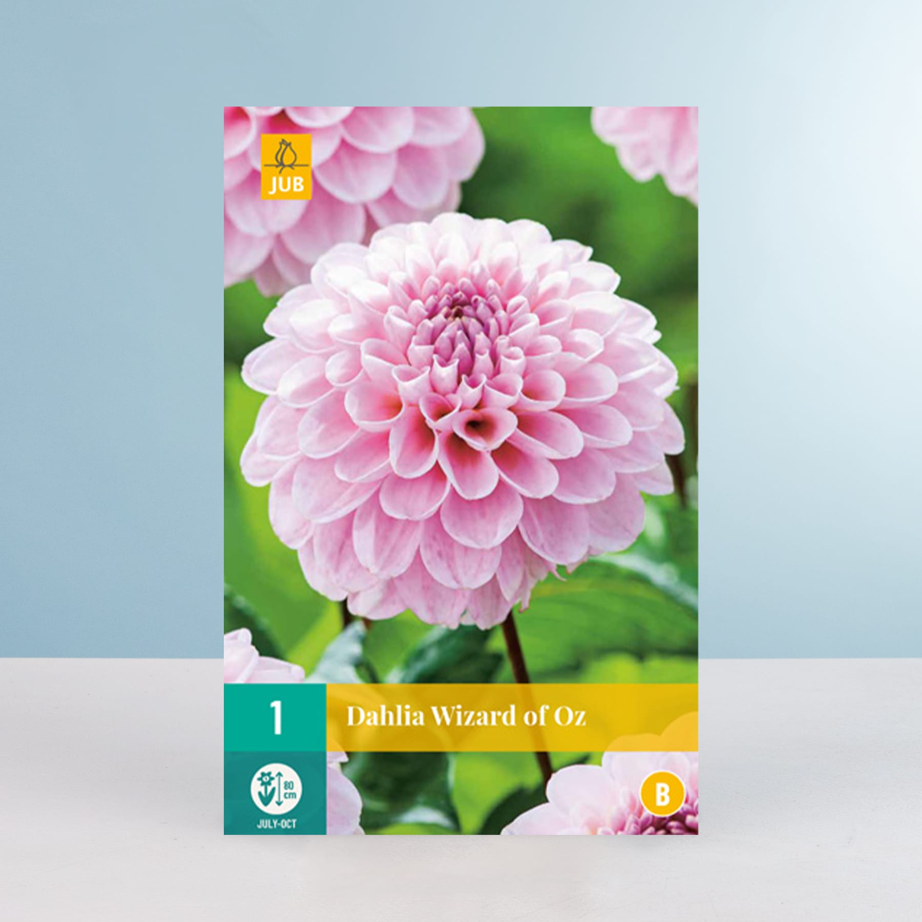 Eine leuchtend rosa Dahlienblüte in voller Blüte hebt sich deutlich von einem verschwommenen grün-blauen Hintergrund ab.