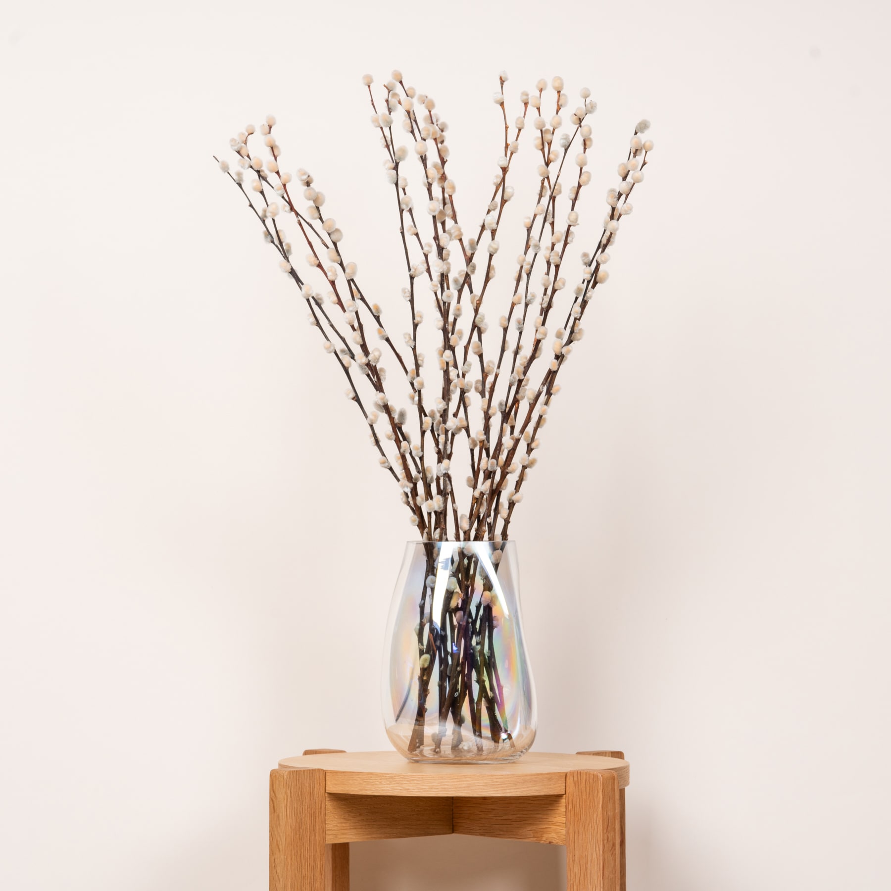 Eine klare Glasvase gefüllt mit zarten, flauschigen Kätzchen oder Weidenkätzchenzweigen steht auf einer Holzoberfläche vor einem schlichten, hellen Hintergrund.