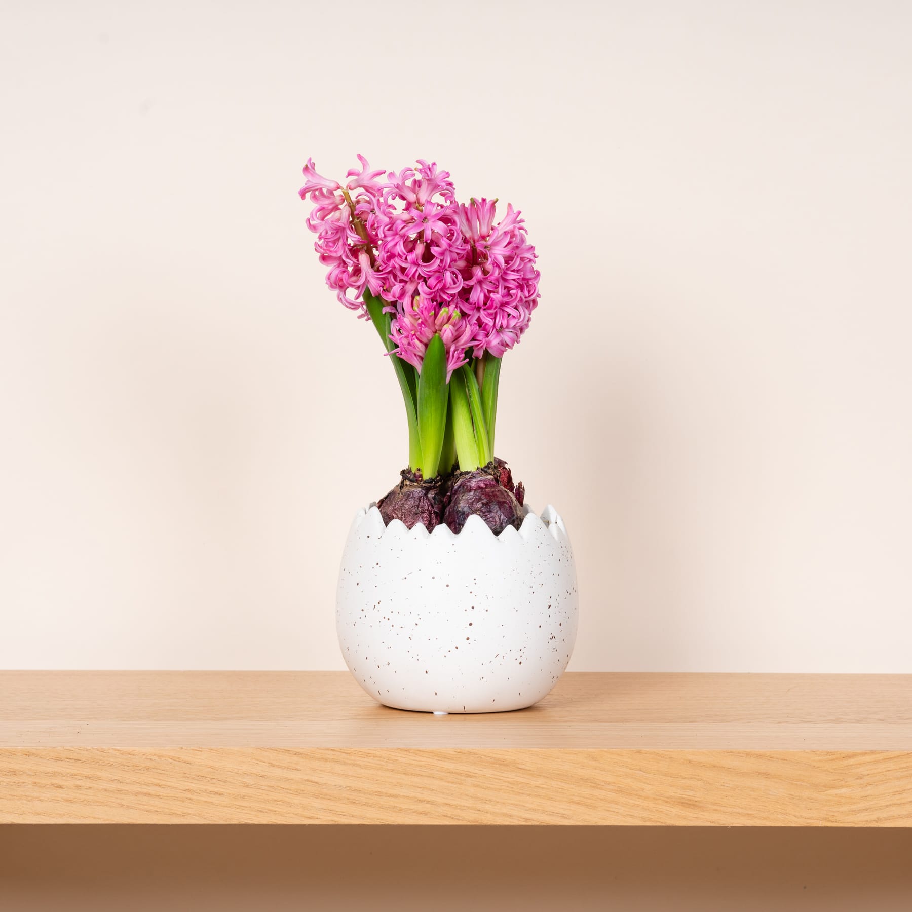 Eine Vase mit einem Strauß leuchtend rosa Hyazinthenblüten steht auf einem Holztisch vor einem schlichten beigen Hintergrund.