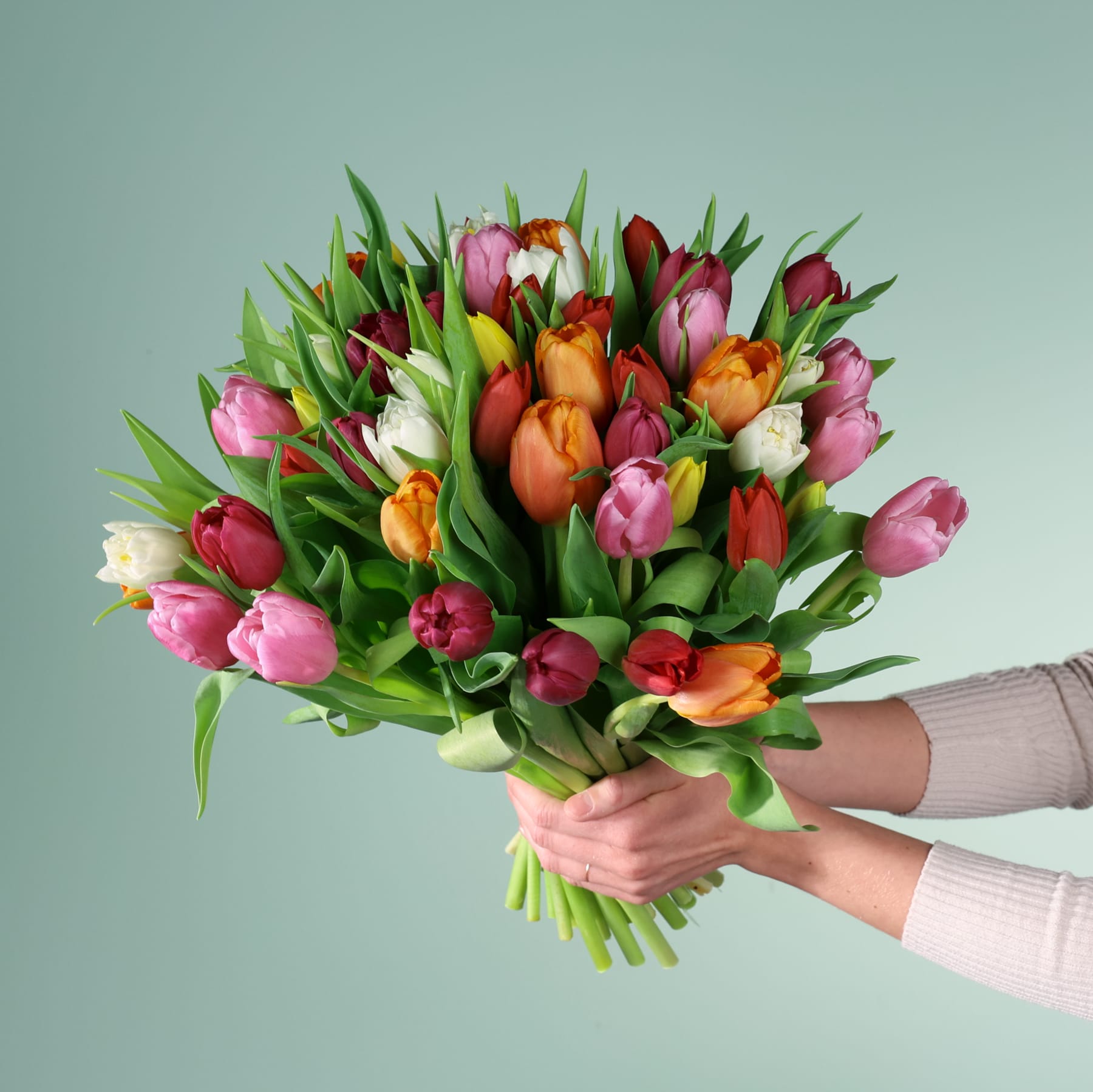 Ein lebendiger Strauß bunter Tulpen in verschiedenen Rosa-, Rot- und Gelbtönen, gehalten in den Händen einer Person vor einem hellgrünen Hintergrund.