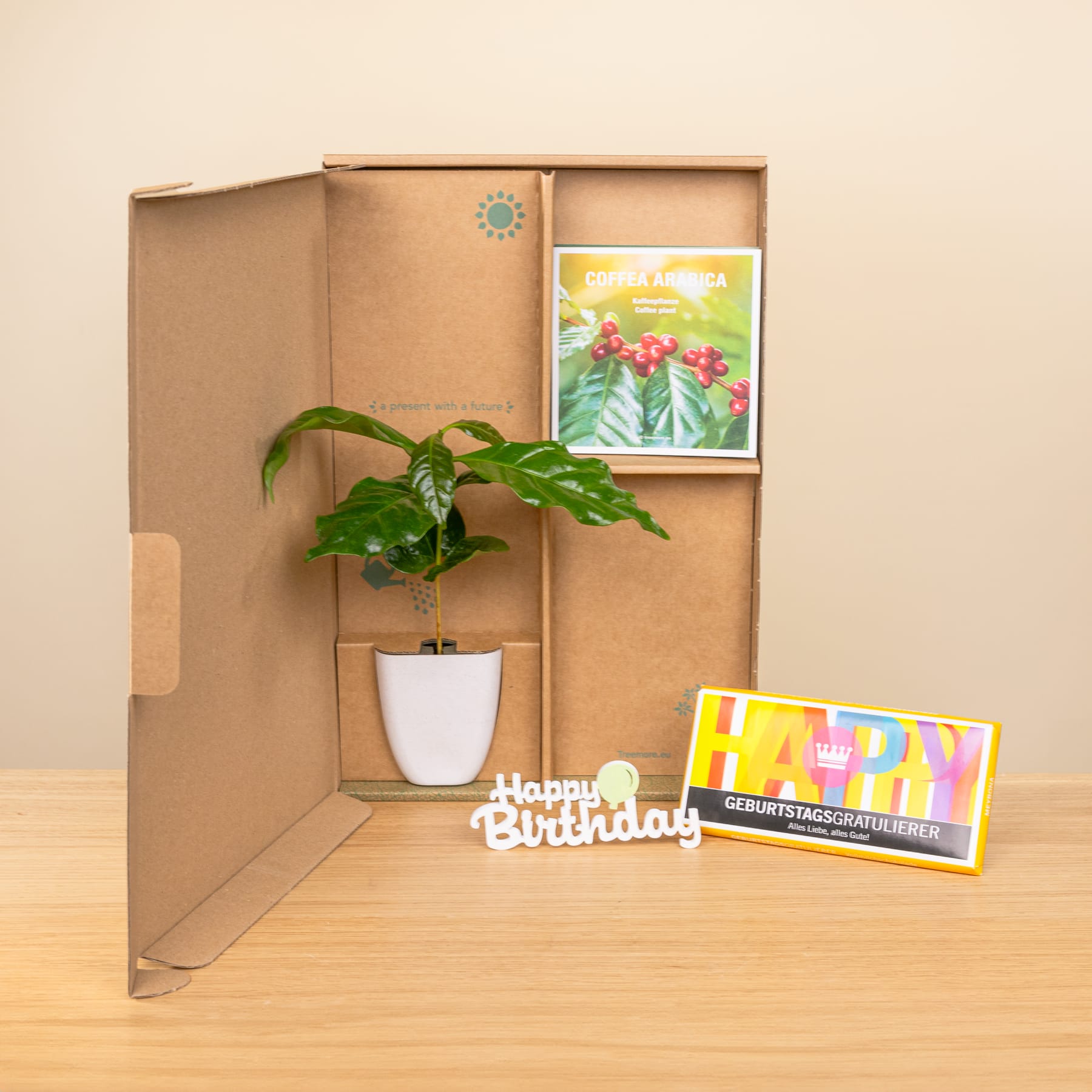 Das Bild zeigt einen Karton mit einer Pflanze, einem gerahmten Bild und einem davor platzierten „Happy Birthday“-Schild.