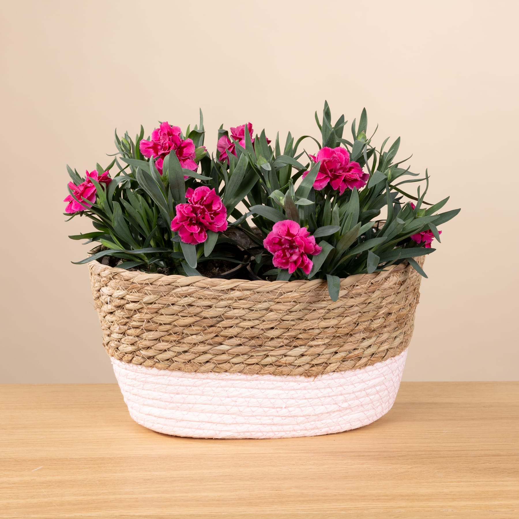Ein geflochtener Korb voller leuchtend rosa Nelken steht auf einem Holztisch vor einem schlichten beigen Hintergrund.
