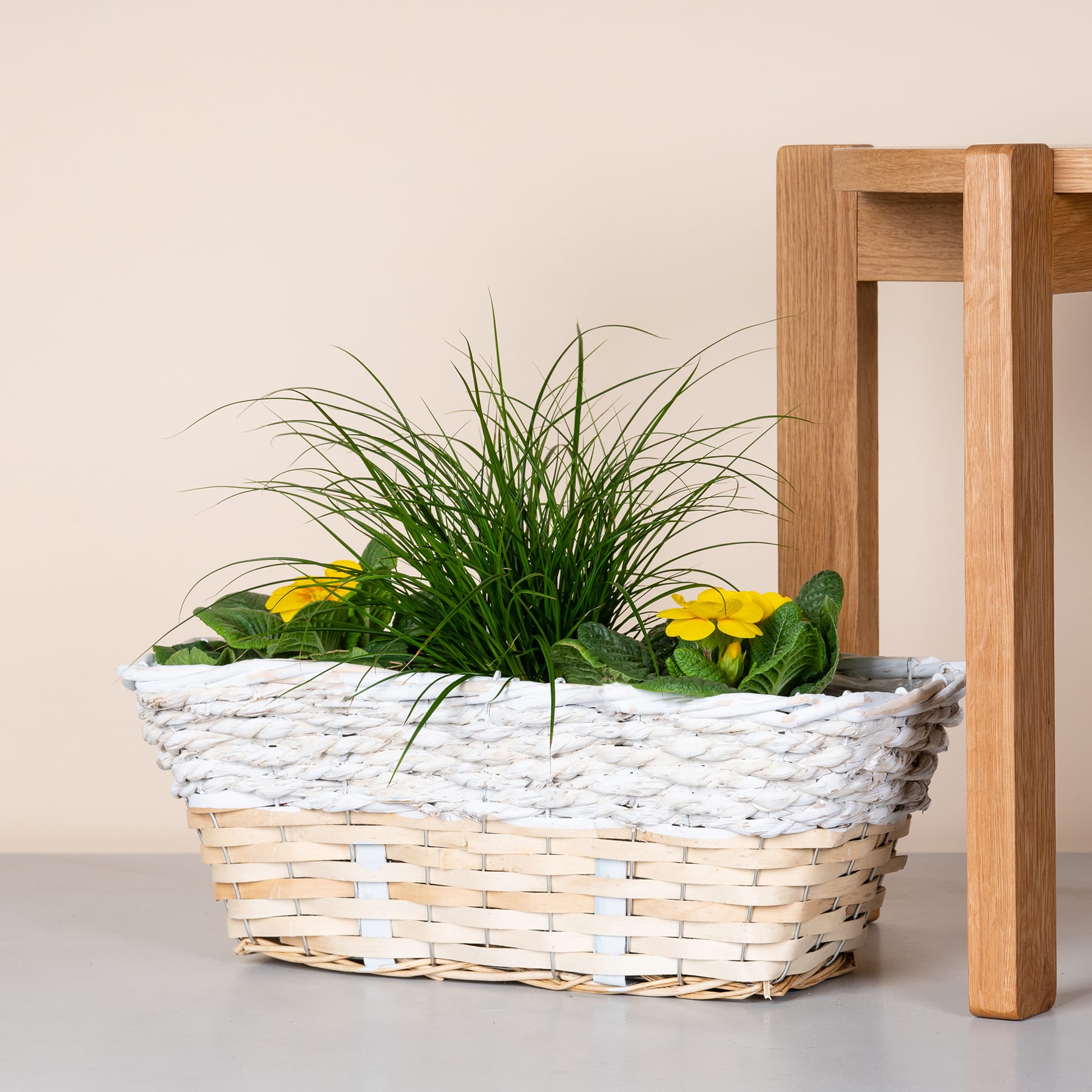 Ein geflochtener Korb voller üppiger grüner Pflanzen und gelber Blumen steht auf einem Holzstuhl vor einem schlichten beigen Hintergrund.