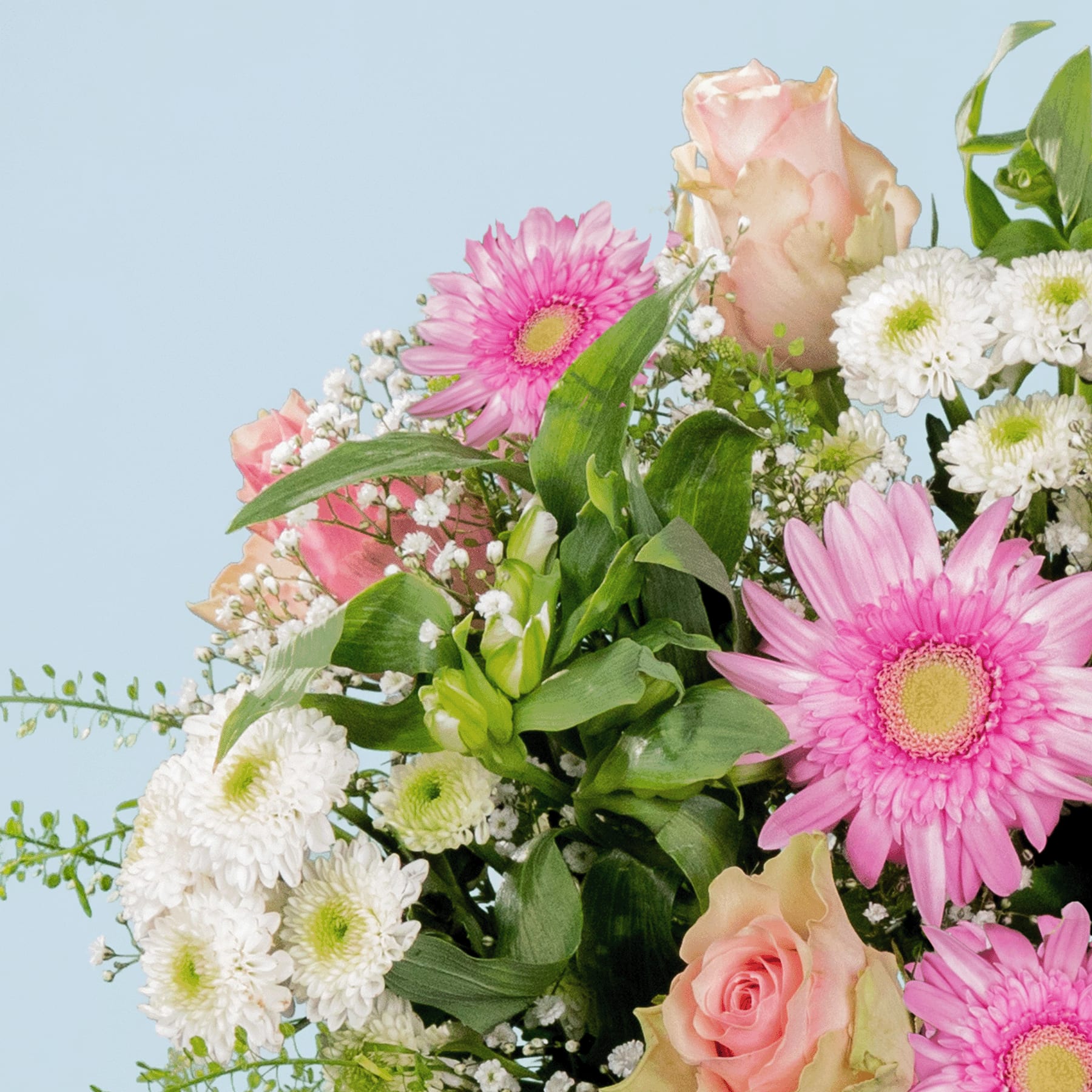 Ein lebendiger Strauß aus rosa Gerbera, weißen Chrysanthemen und zartrosa Rosen vor einem sanften blauen Hintergrund.