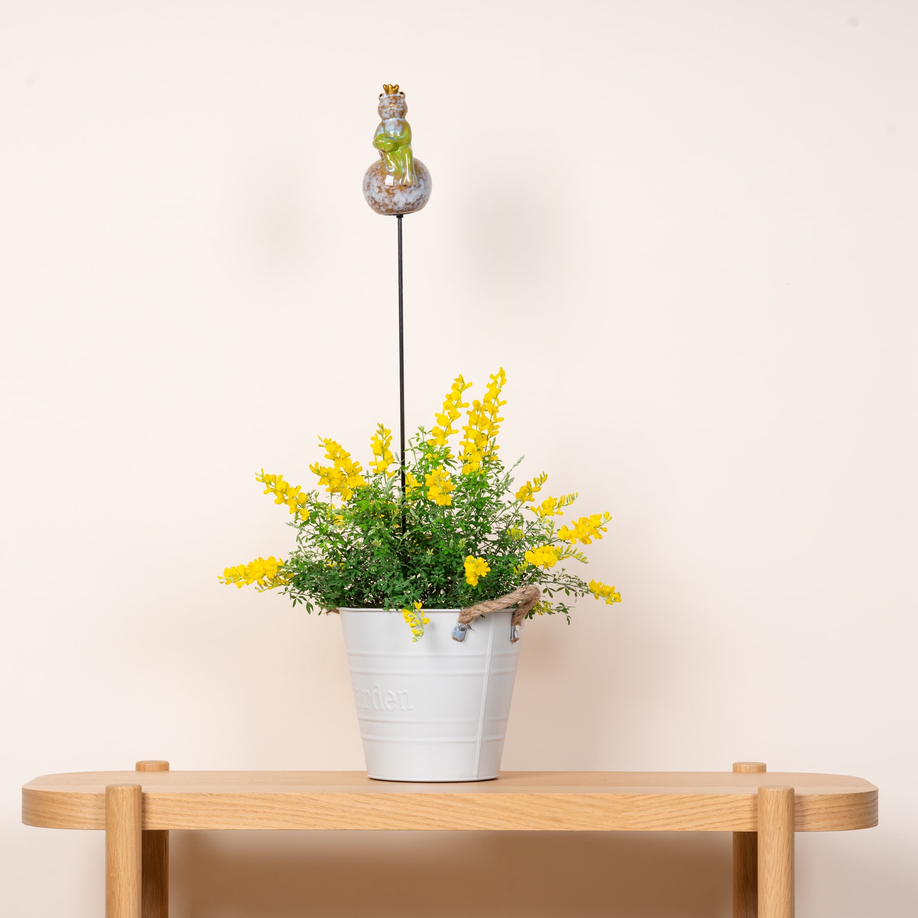 Ein mit leuchtend gelben Blumen gefüllter Metalleimer steht auf einem Holztisch vor einem schlichten weißen Hintergrund.