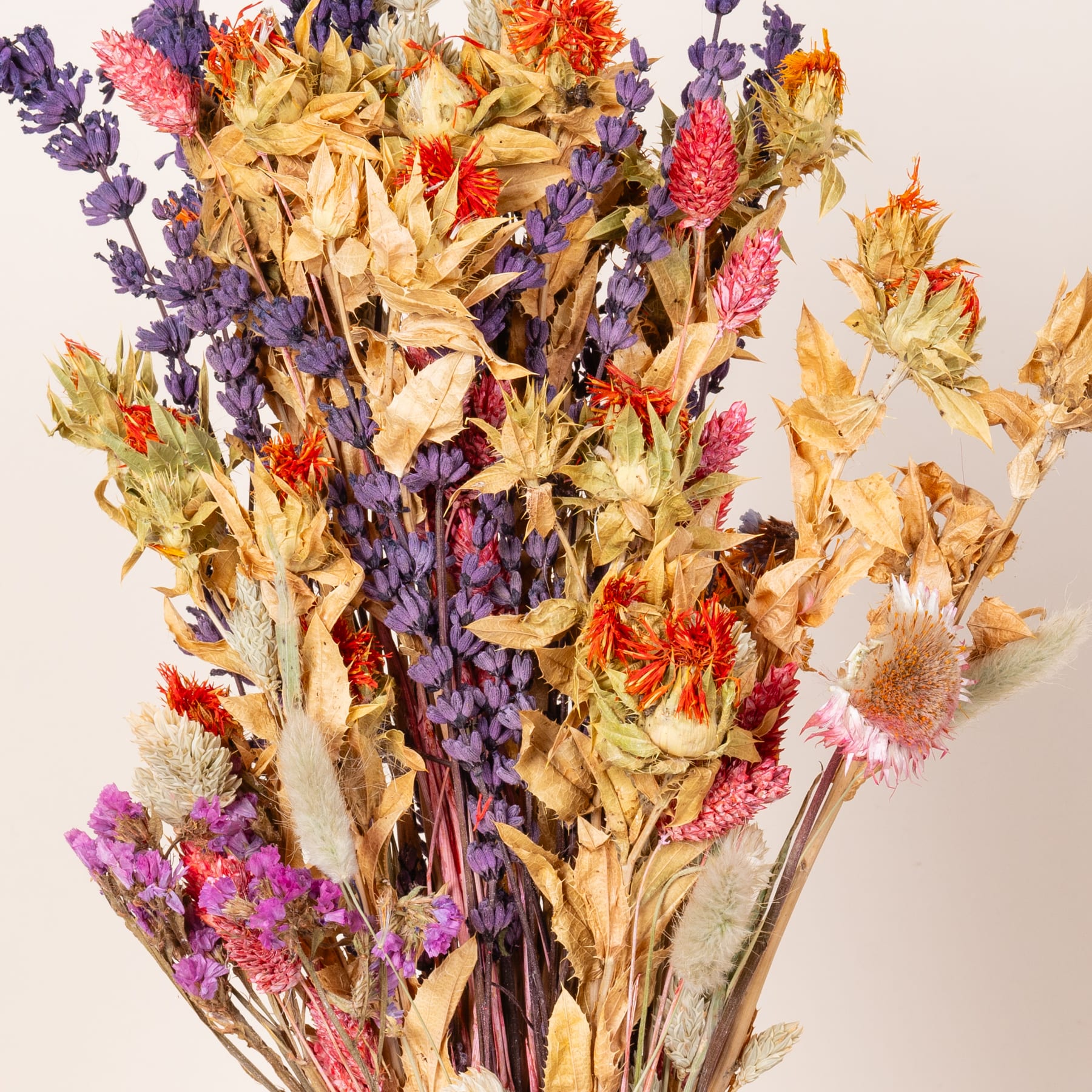 Ein farbenfroher Strauß getrockneter Blumen in verschiedenen Lila-, Orange- und Gelbtönen, arrangiert vor einem schlichten weißen Hintergrund.