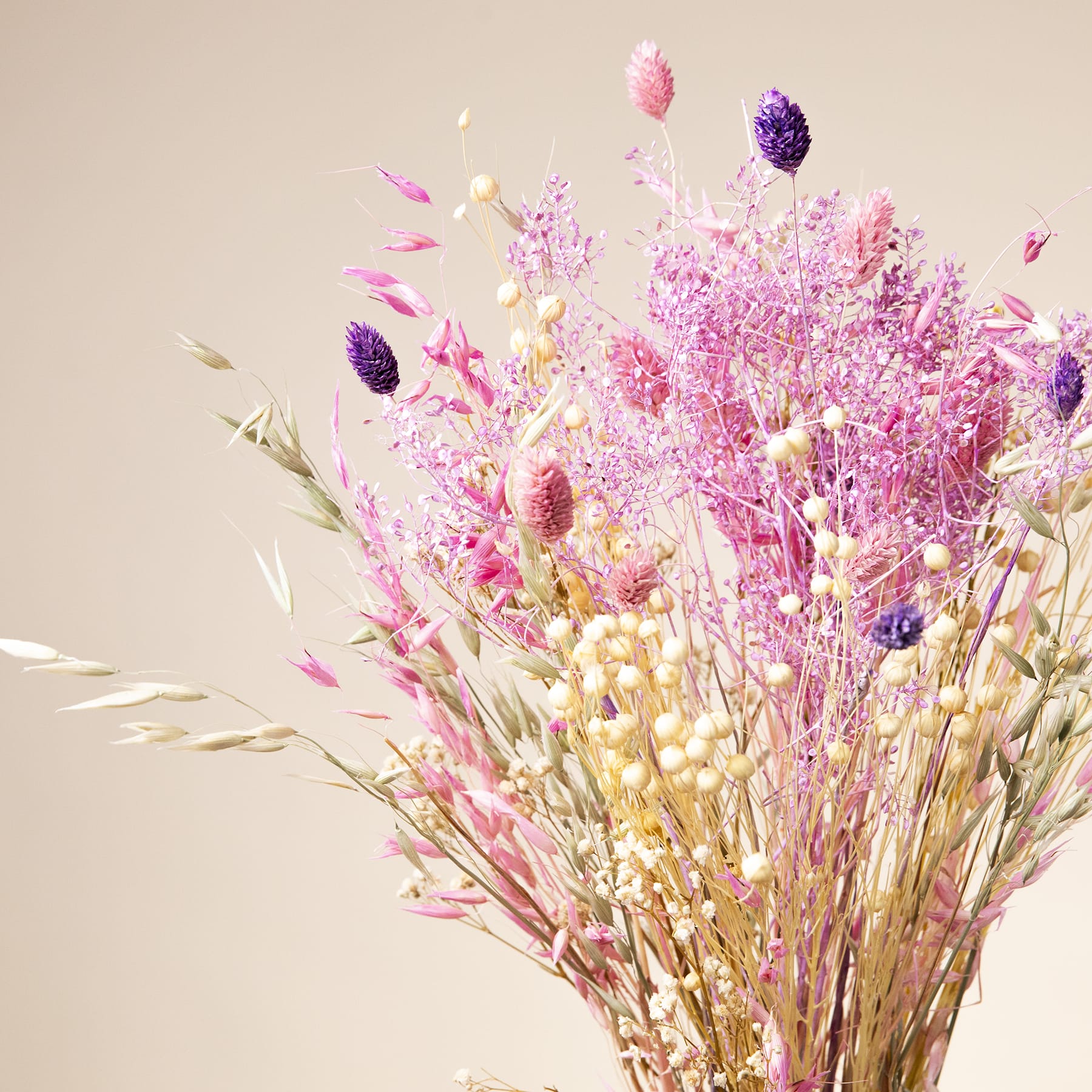 Ein lebendiger Strauß getrockneter Blumen in Rosa-, Lila- und Gelbtönen vor einem neutralen beigen Hintergrund.