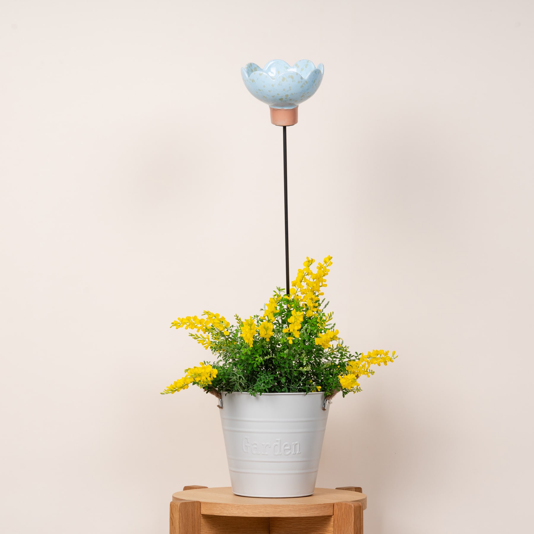 Auf einer Holzoberfläche steht ein weißer Keramiktopf mit leuchtend gelben Blumen, darüber hängt eine blaue, schalenförmige Keramikleuchte.