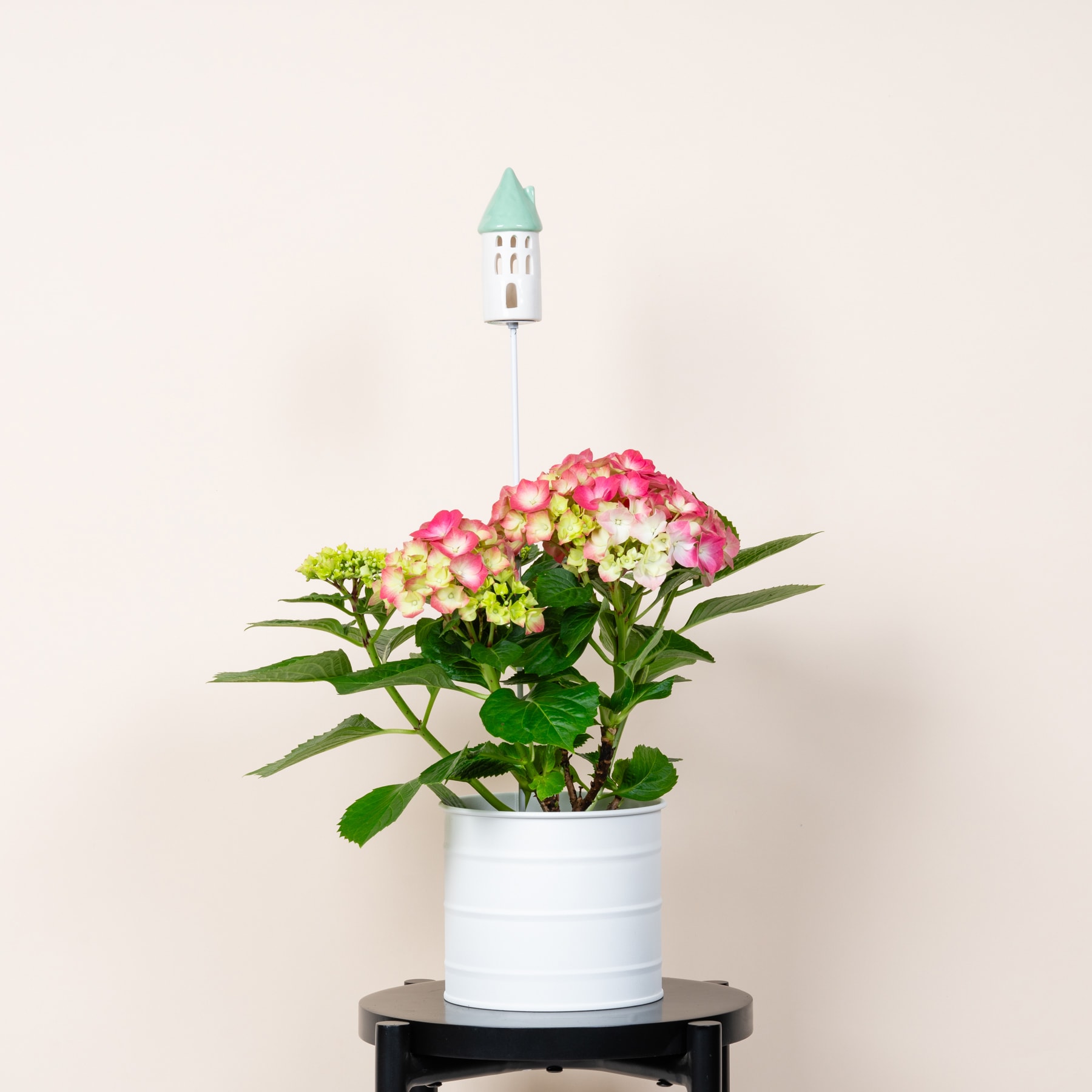 Ein leuchtender Strauß rosa und gelber Hortensienblüten in einem weißen Keramiktopf, im Hintergrund ein kleines Vogelhäuschen auf einem Holzständer.