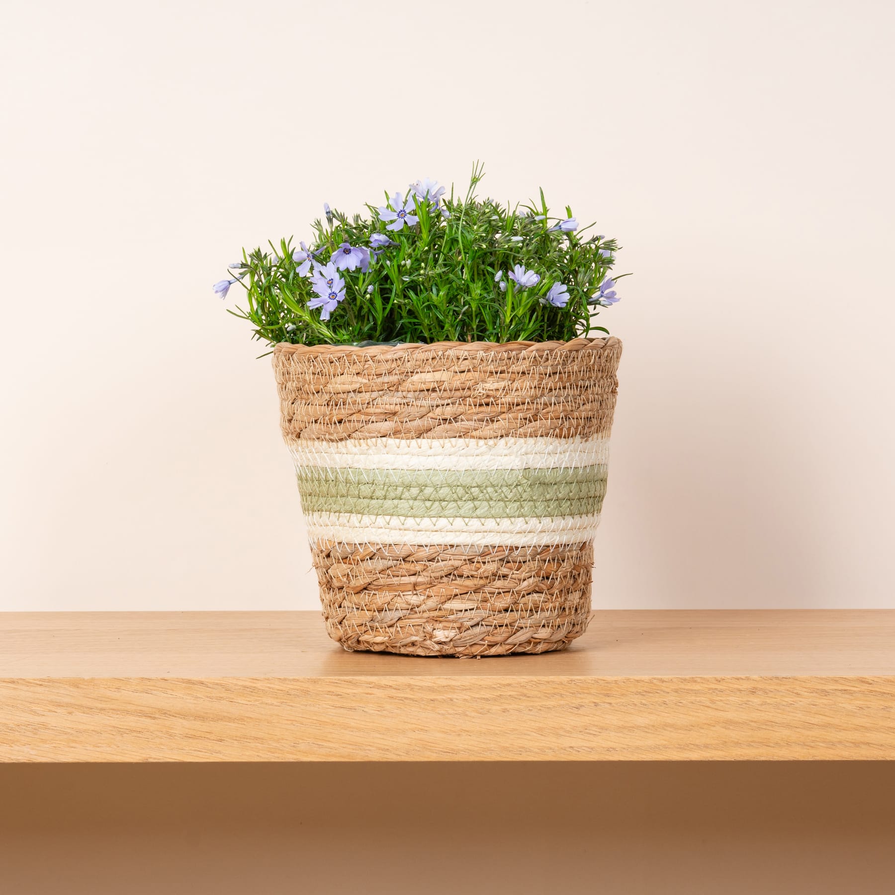 Ein geflochtener Korb voller üppiger, grüner Pflanzen und zarter violetter Blumen steht auf einer Holzoberfläche vor einem schlichten, hellen Hintergrund.
