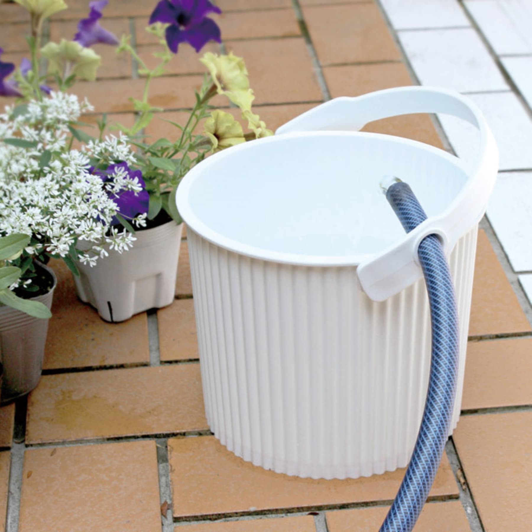 Auf einer gefliesten Terrasse steht ein weißer Plastikbehälter mit angeschlossenem Schlauch, umgeben von Topfpflanzen mit violetten und weißen Blüten.