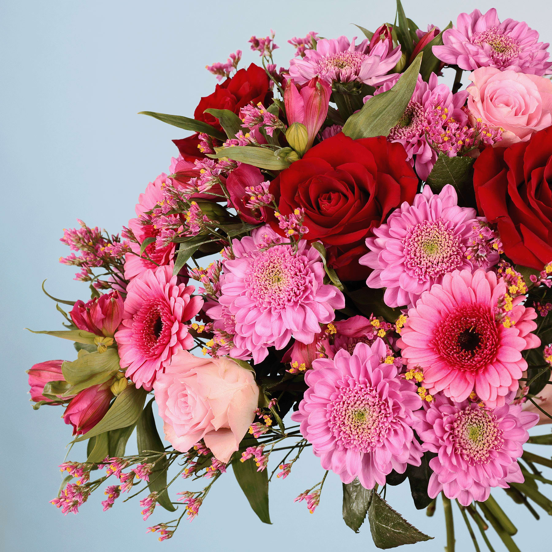 Ein lebendiger Strauß roter Rosen, rosa Gerbera und anderer bunter Blumen vor einem schlichten blauen Hintergrund.