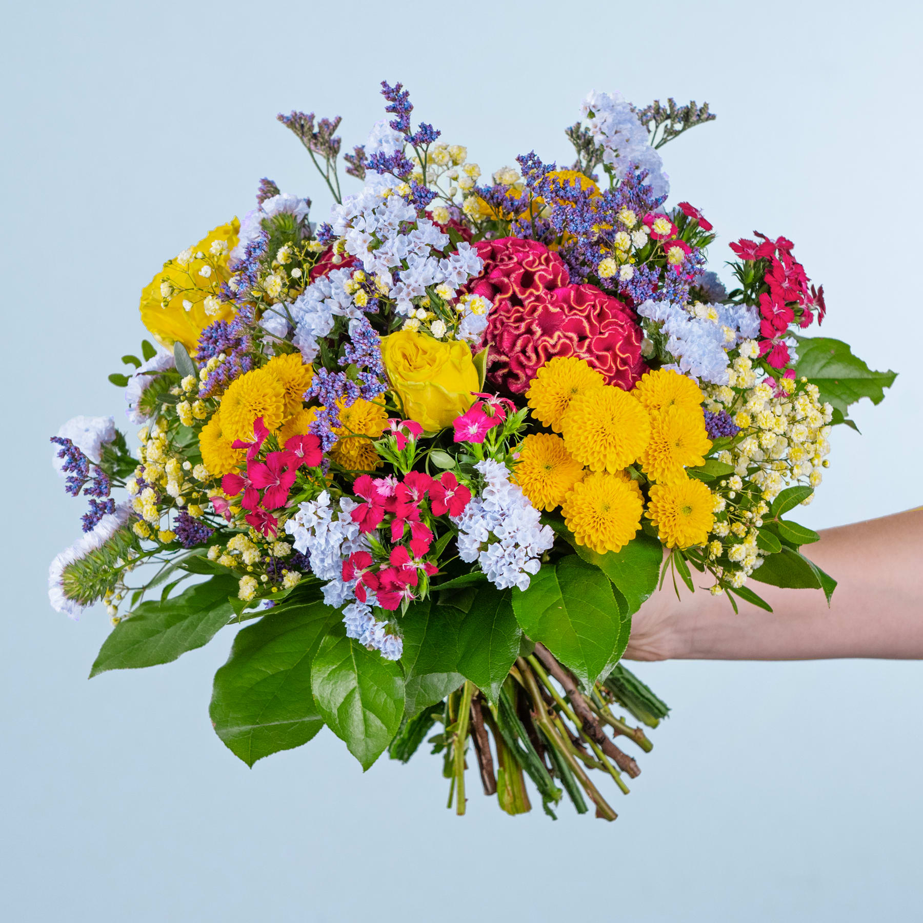 Ein lebendiger und farbenfroher Strauß verschiedener Blumen, darunter gelbe Chrysanthemen, rote Nelken und lila Lavendel, wird vor einem schlichten blauen Hintergrund in den Händen einer Person gehalten.