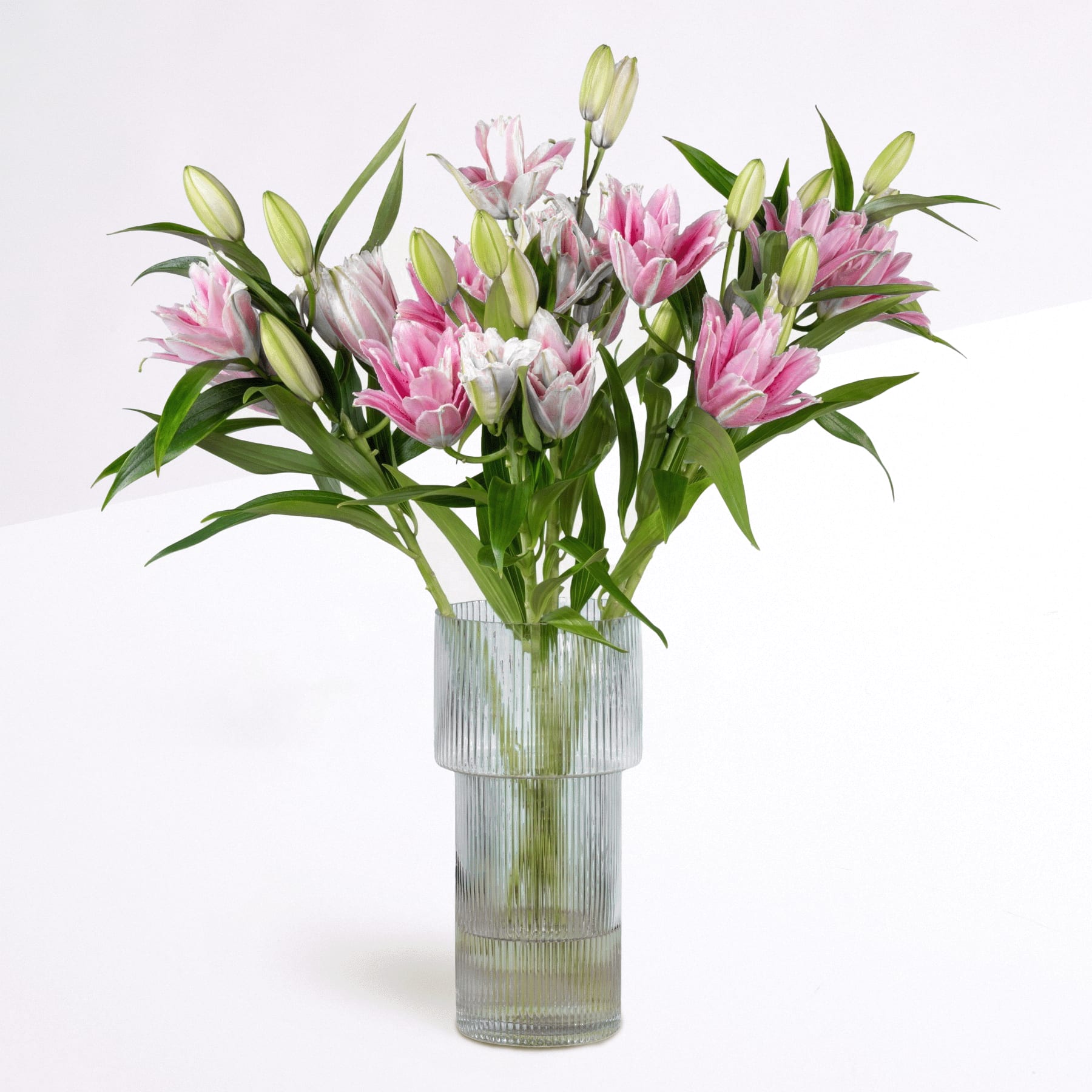 Ein Strauß leuchtend rosa und weißer Blumen, darunter Proteablüten, arrangiert in einer hohen Glasvase vor einem schlichten weißen Hintergrund.