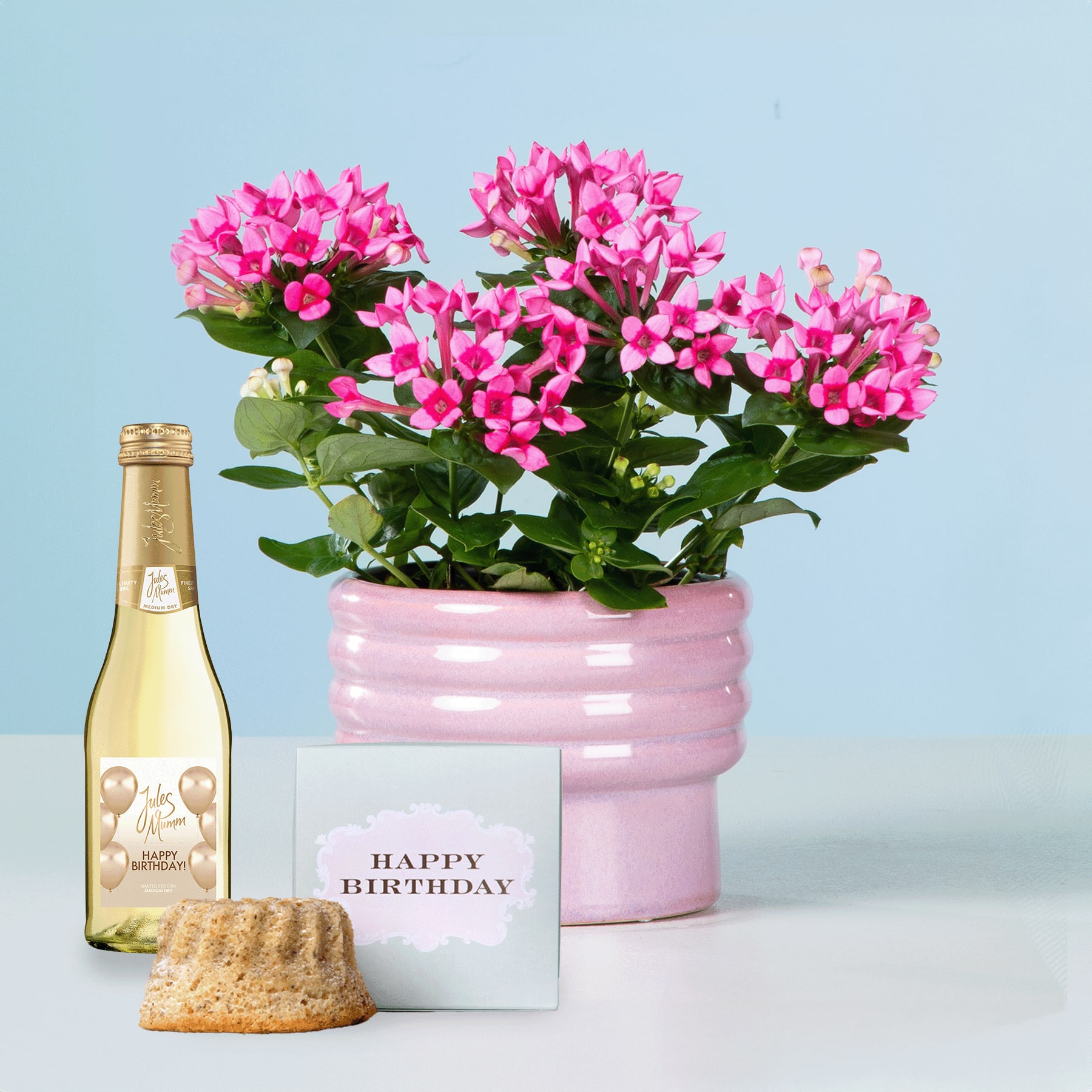 Auf einem Tisch steht eine rosa blühende Pflanze in einem rosa Keramiktopf, daneben eine Flasche Champagner und eine Geburtstagskarte.