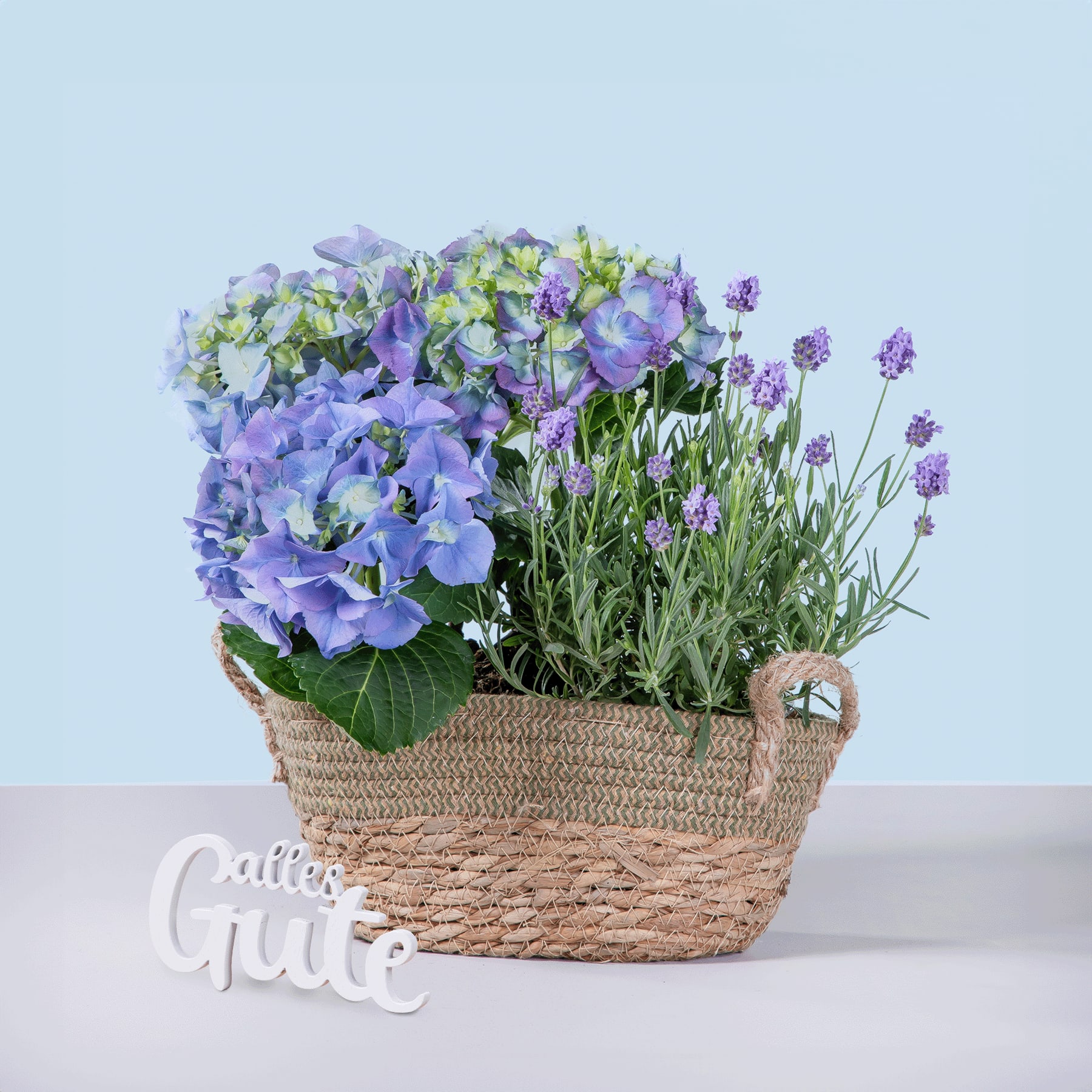 Ein geflochtener Korb gefüllt mit leuchtend violetten Hortensien und Lavendelblüten steht auf einer hellen Oberfläche vor einem blassblauen Hintergrund.