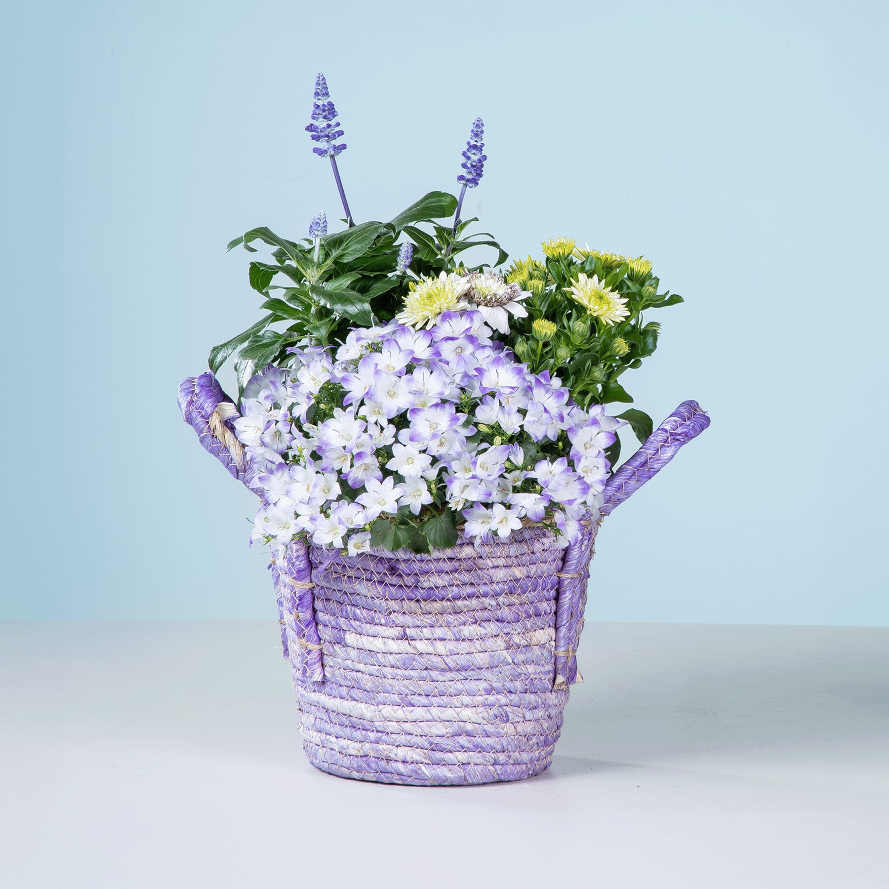 Ein geflochtener Korb, gefüllt mit einem farbenfrohen Arrangement aus violetten und weißen Blumen vor einem schlichten blauen Hintergrund.