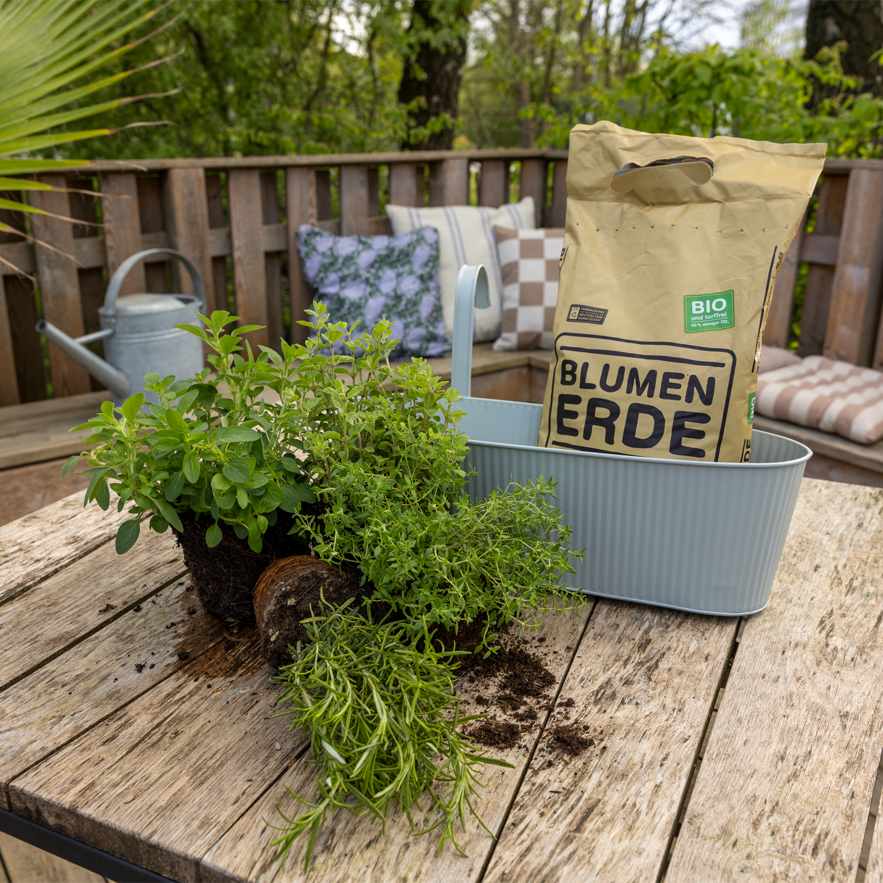 Ein Holzdeck mit einer Topfpflanze, einer Gießkanne und einem Sack Bioerde im Vordergrund, umgeben von üppigem Grün im Hintergrund.