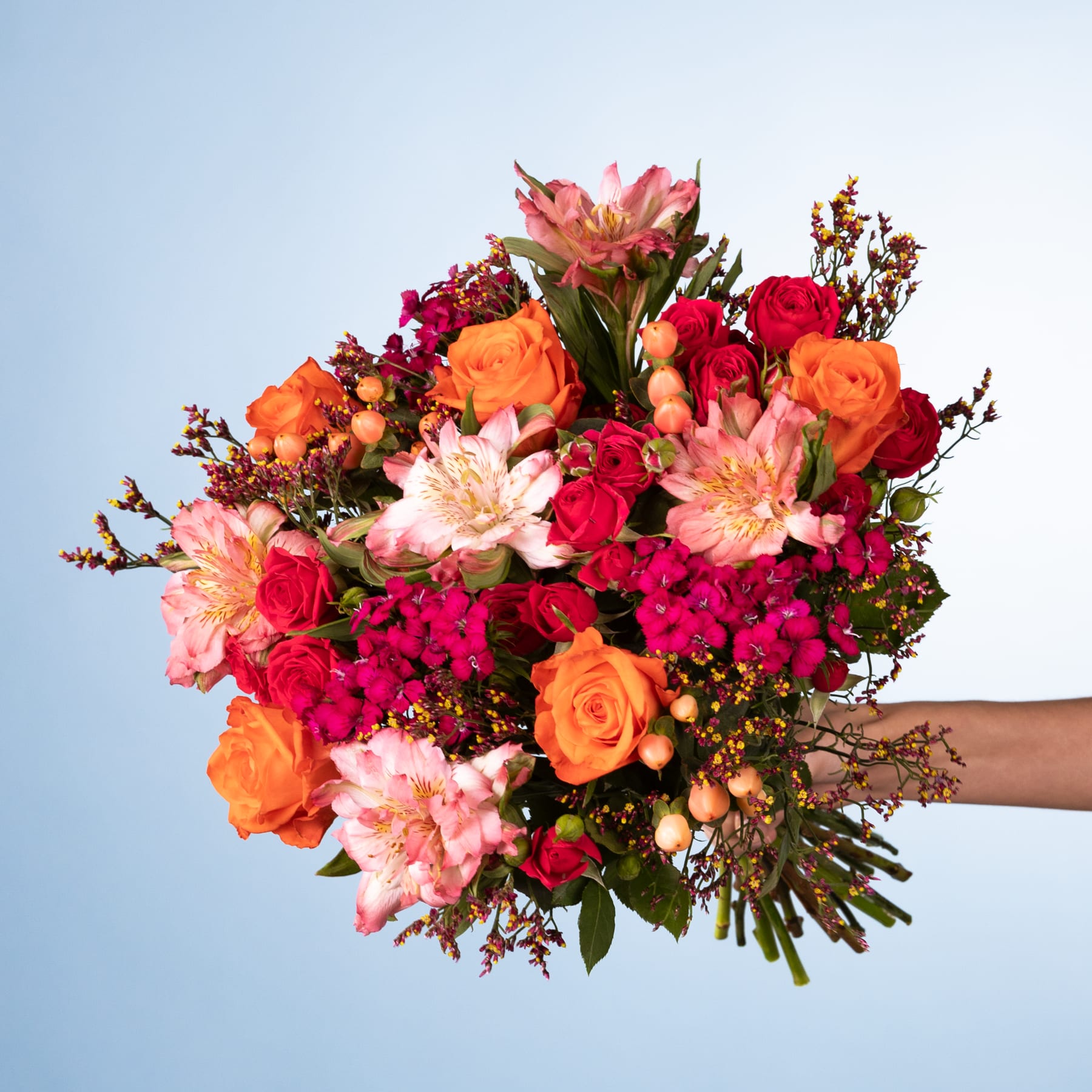 Ein leuchtender Strauß bunter Blumen, darunter rote Rosen, orange Rosen, rosa Dahlien und andere Blüten, die eine Person vor einem schlichten blauen Hintergrund in den Händen hält.