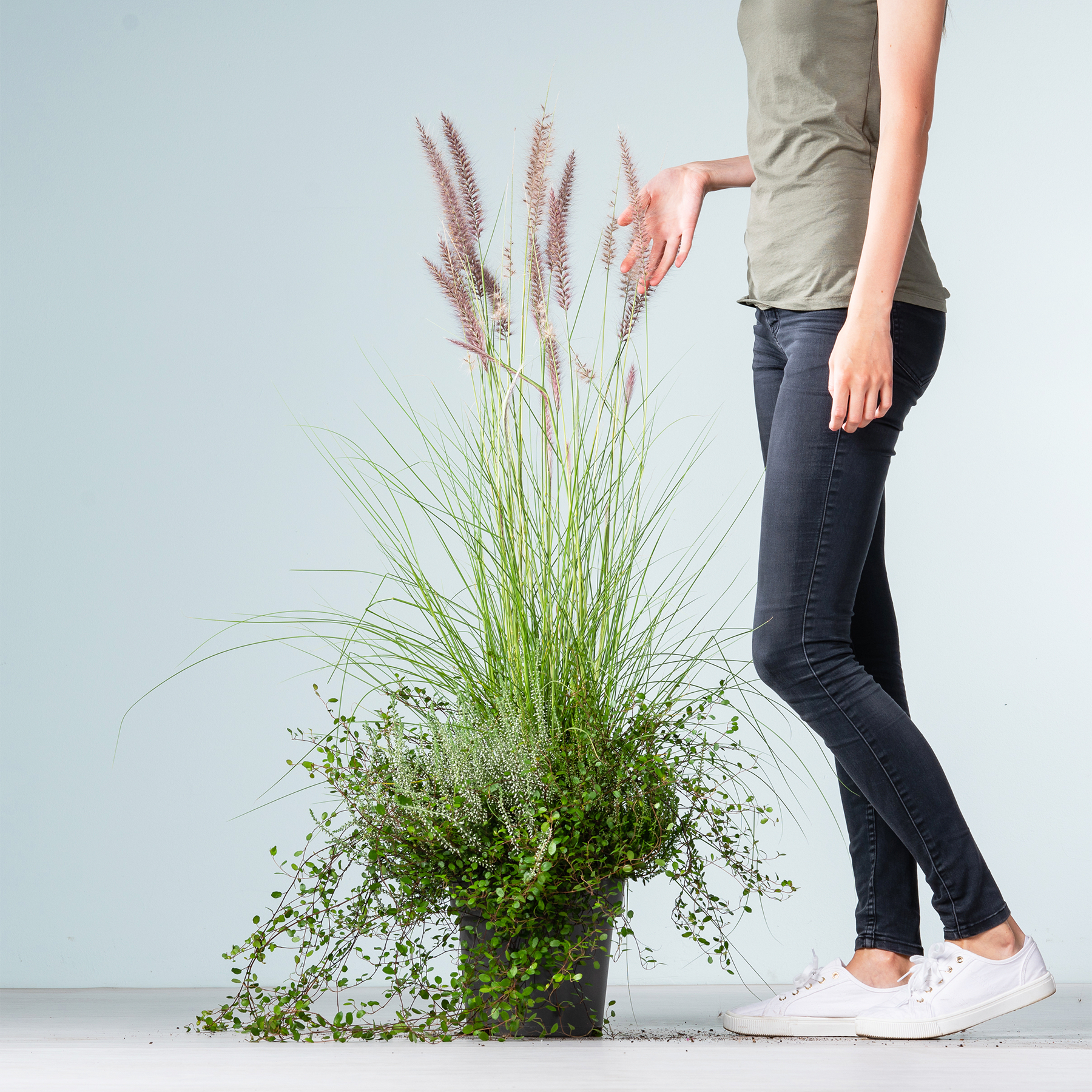 Im Vordergrund steht eine Topfpflanze mit hohen, dünnen, grasähnlichen Stängeln und kleinen weißen Blüten, während im unteren Teil des Rahmens vor einem schlichten Hintergrund die Beine und Füße einer Person zu sehen sind.
