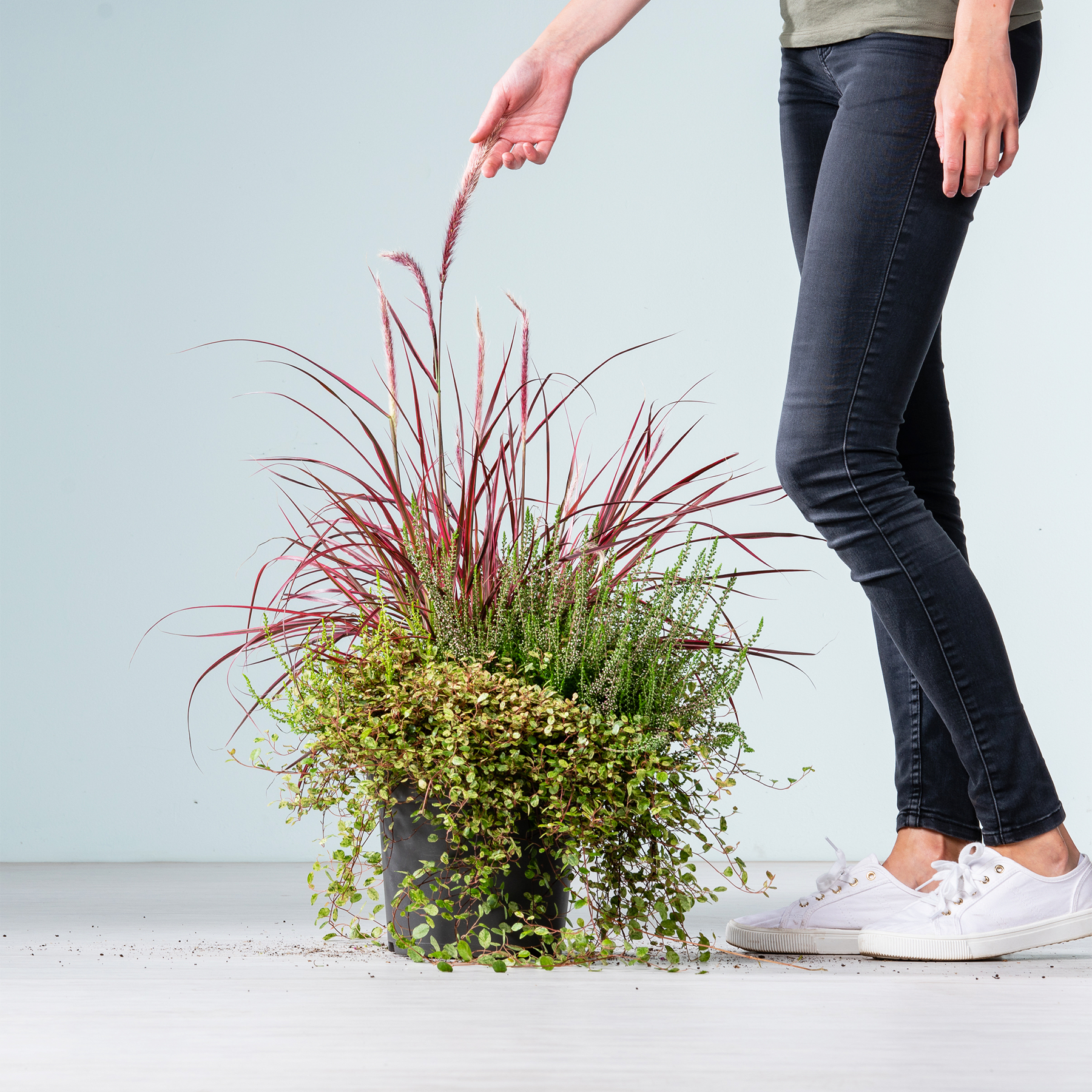 Im Vordergrund sind die Beine und Füße einer Person zu sehen. Sie trägt weiße Turnschuhe und steht neben einer Topfpflanze mit leuchtend roten und grünen Blättern.