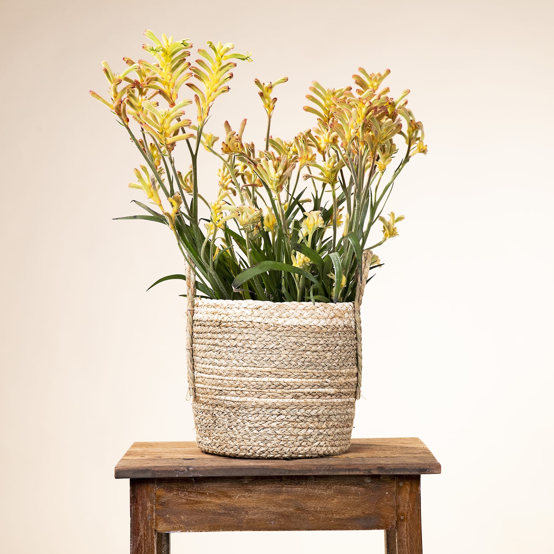 Ein geflochtener Korb voller leuchtend gelber und weißer Blumen steht auf einem rustikalen Holztisch vor einem schlichten beigen Hintergrund.